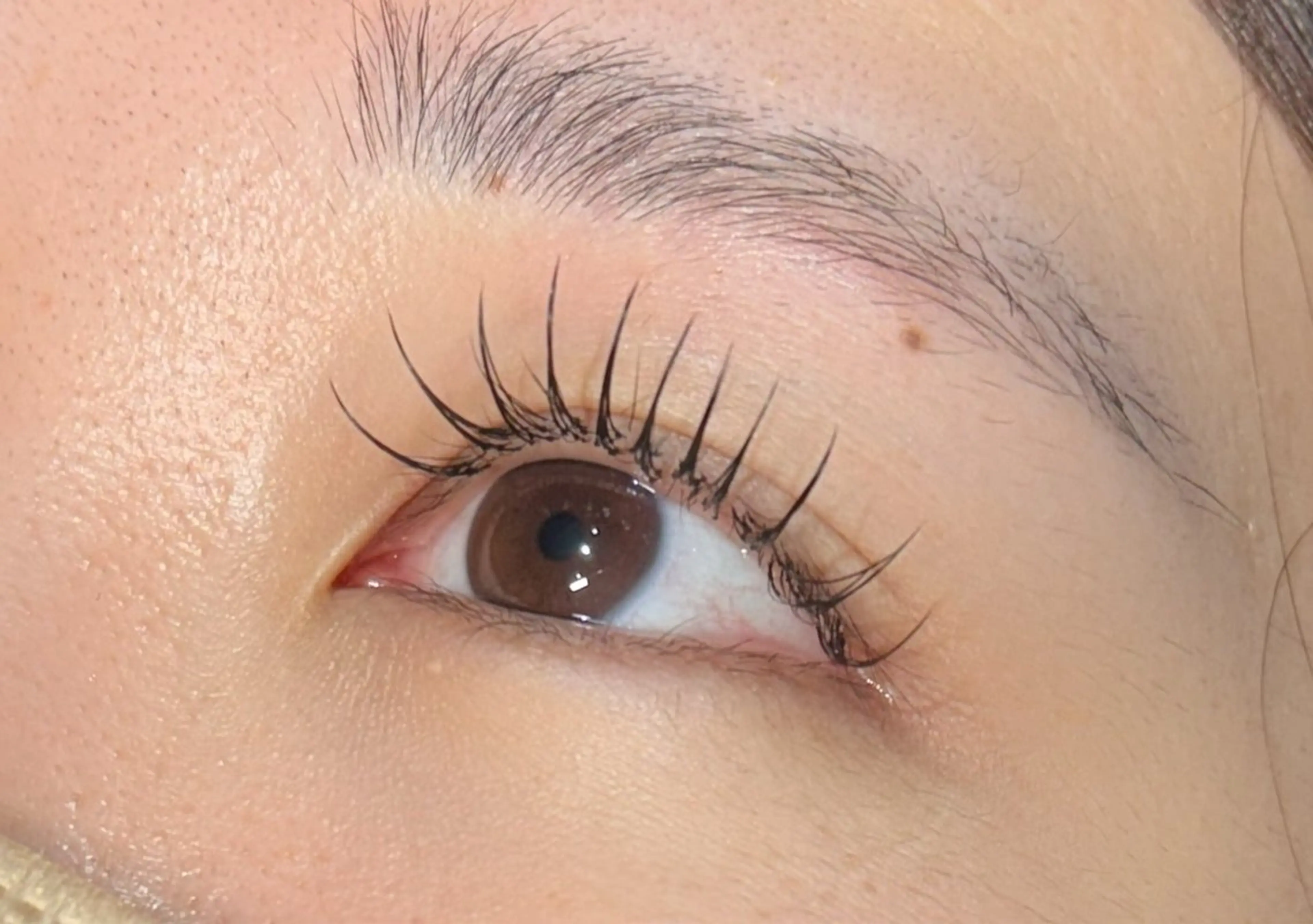 【オフなしの方】🎀フラットラッシュ100本🎀の写真