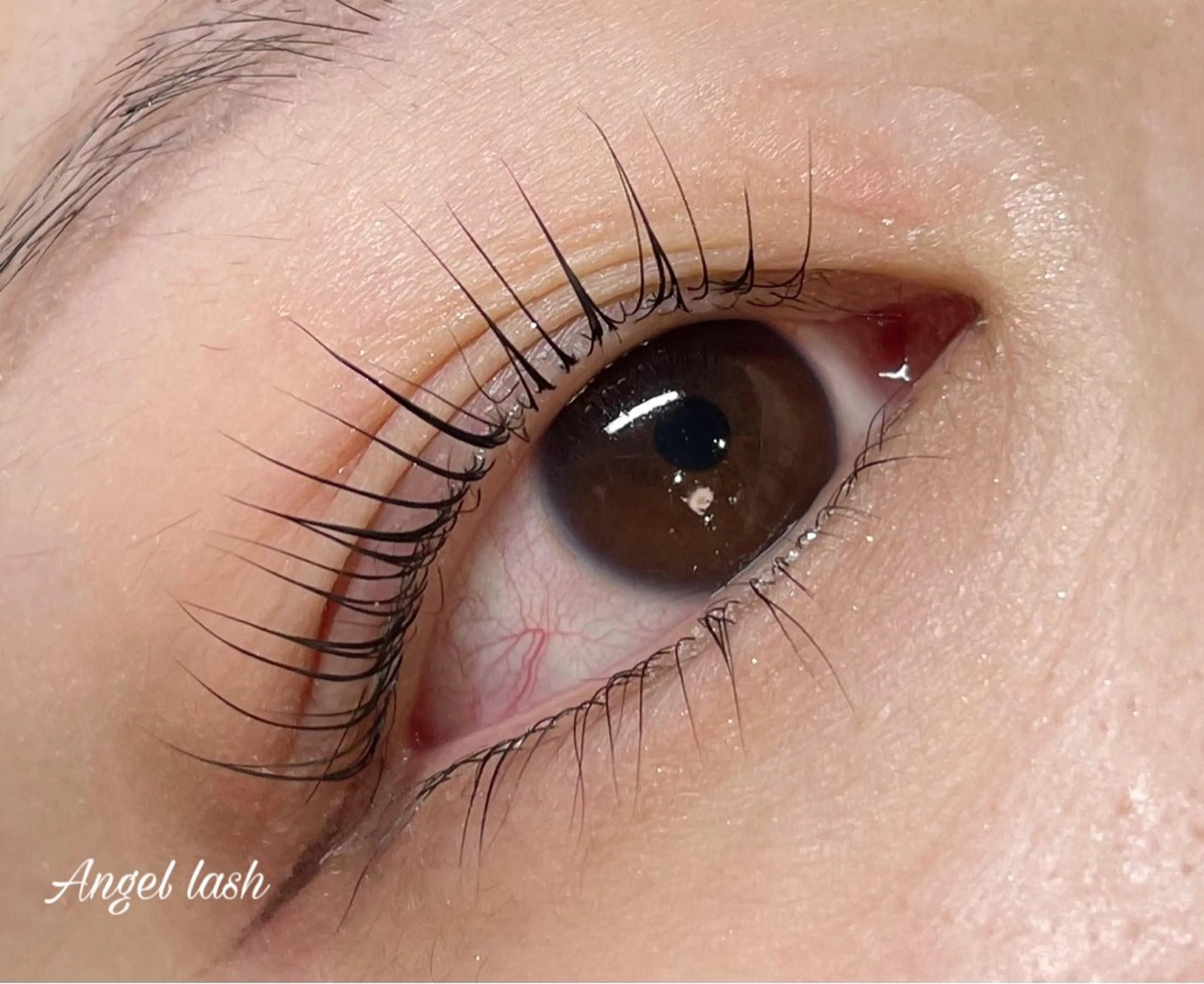 マツエク・マツパ Angel lash kanekoのマツエク・マツパデザイン