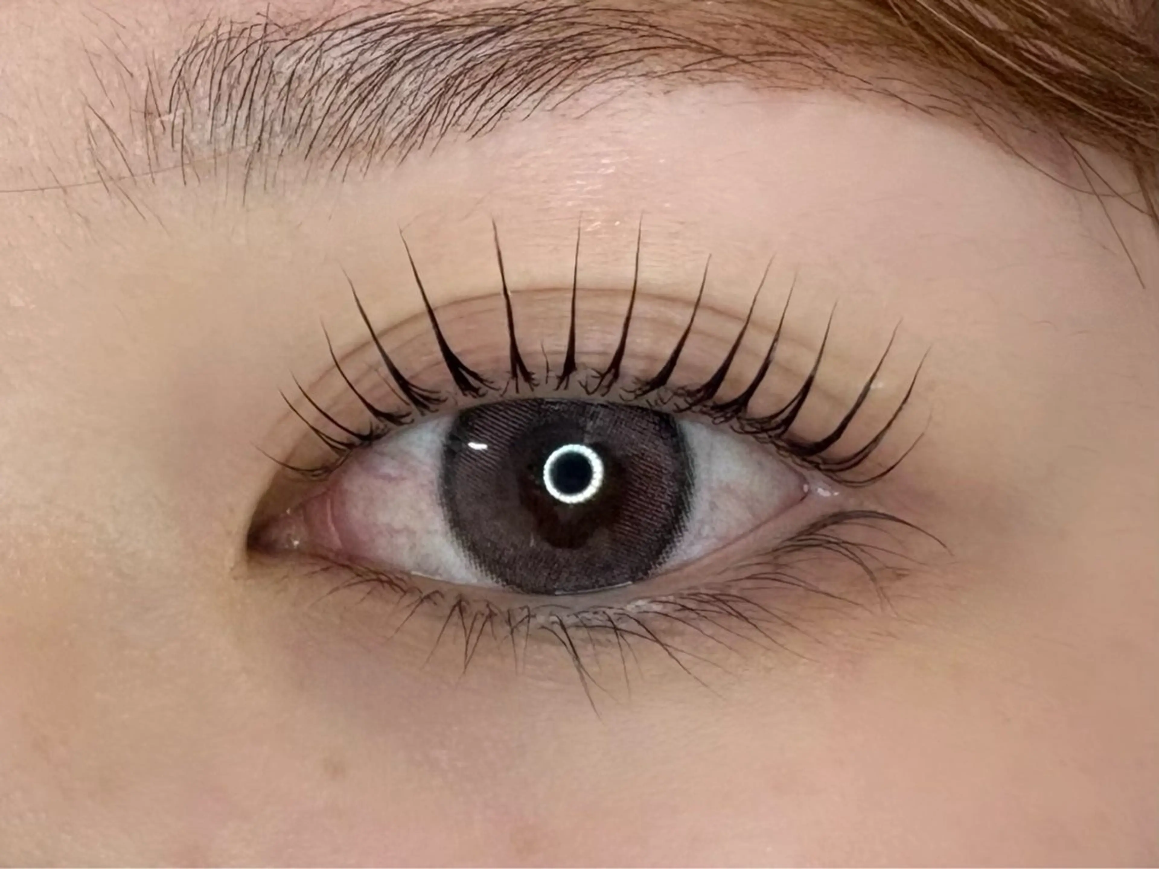 🏫学割🏫上まつげパーマ💫高保湿・美容液トリートメント💫の写真