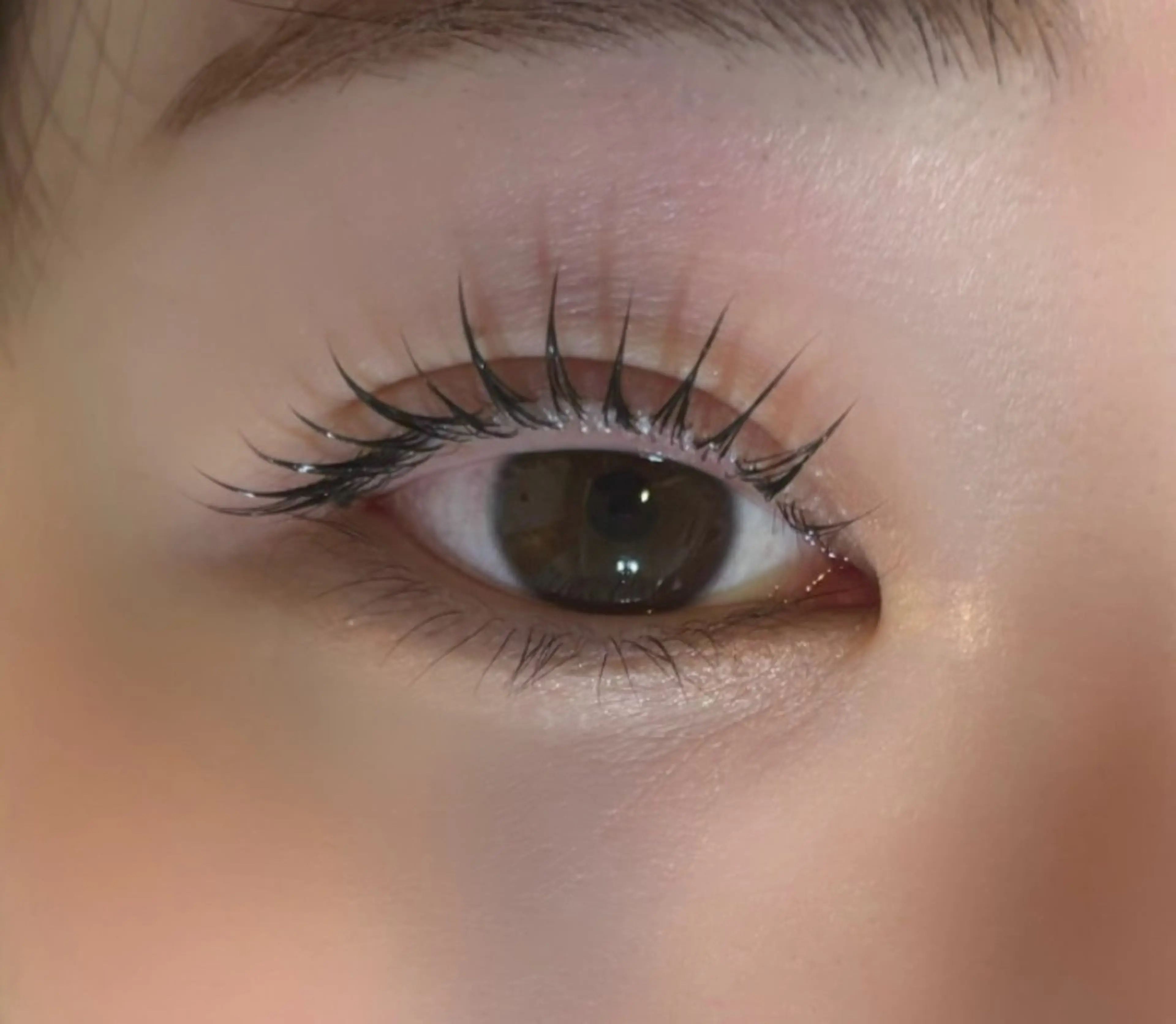 マツエク・マツパ マリーテレジア 🐨MIURAのマツエク・マツパデザイン