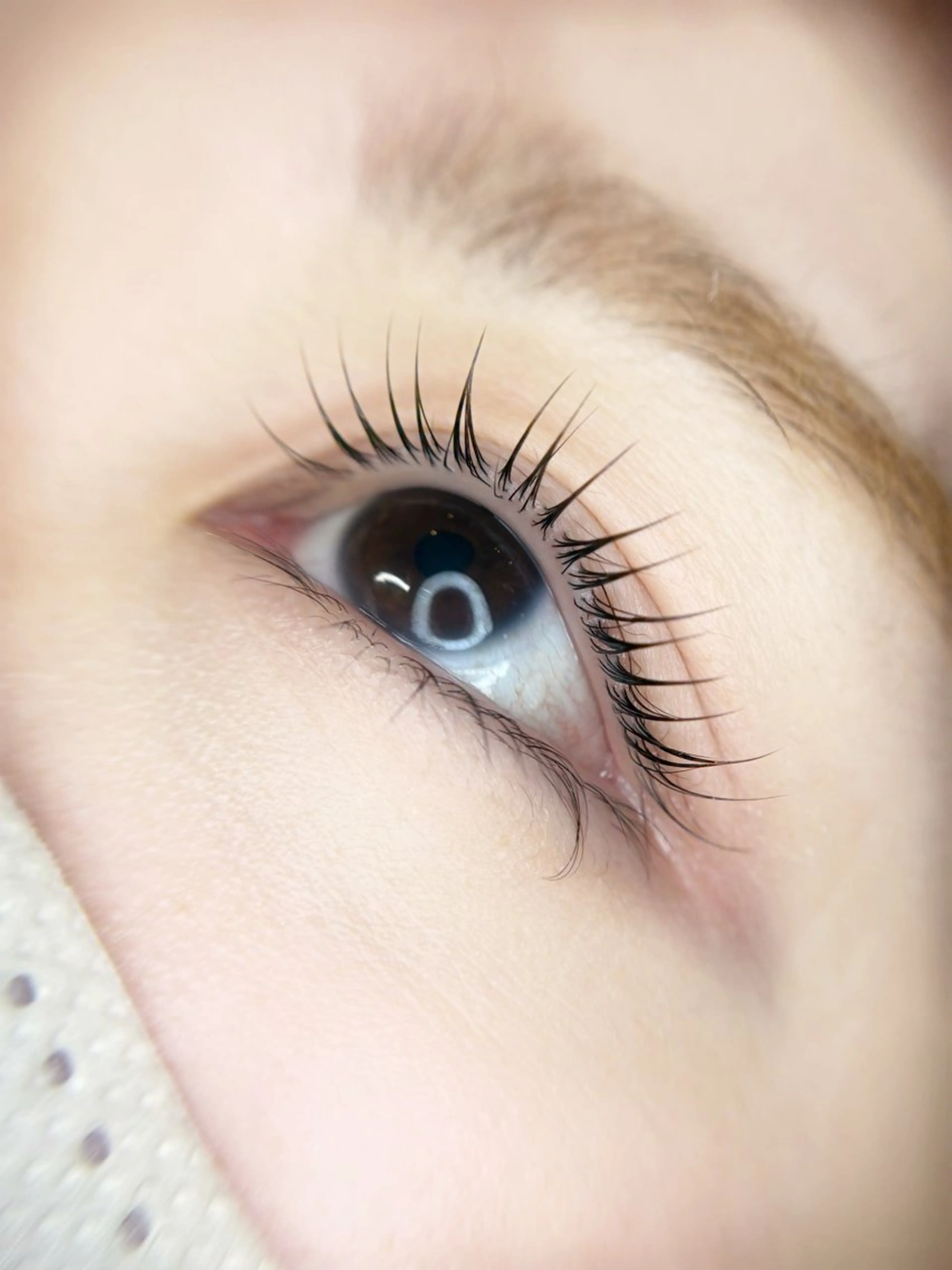 【本日限定】まつげパーマ🪄🪞の写真