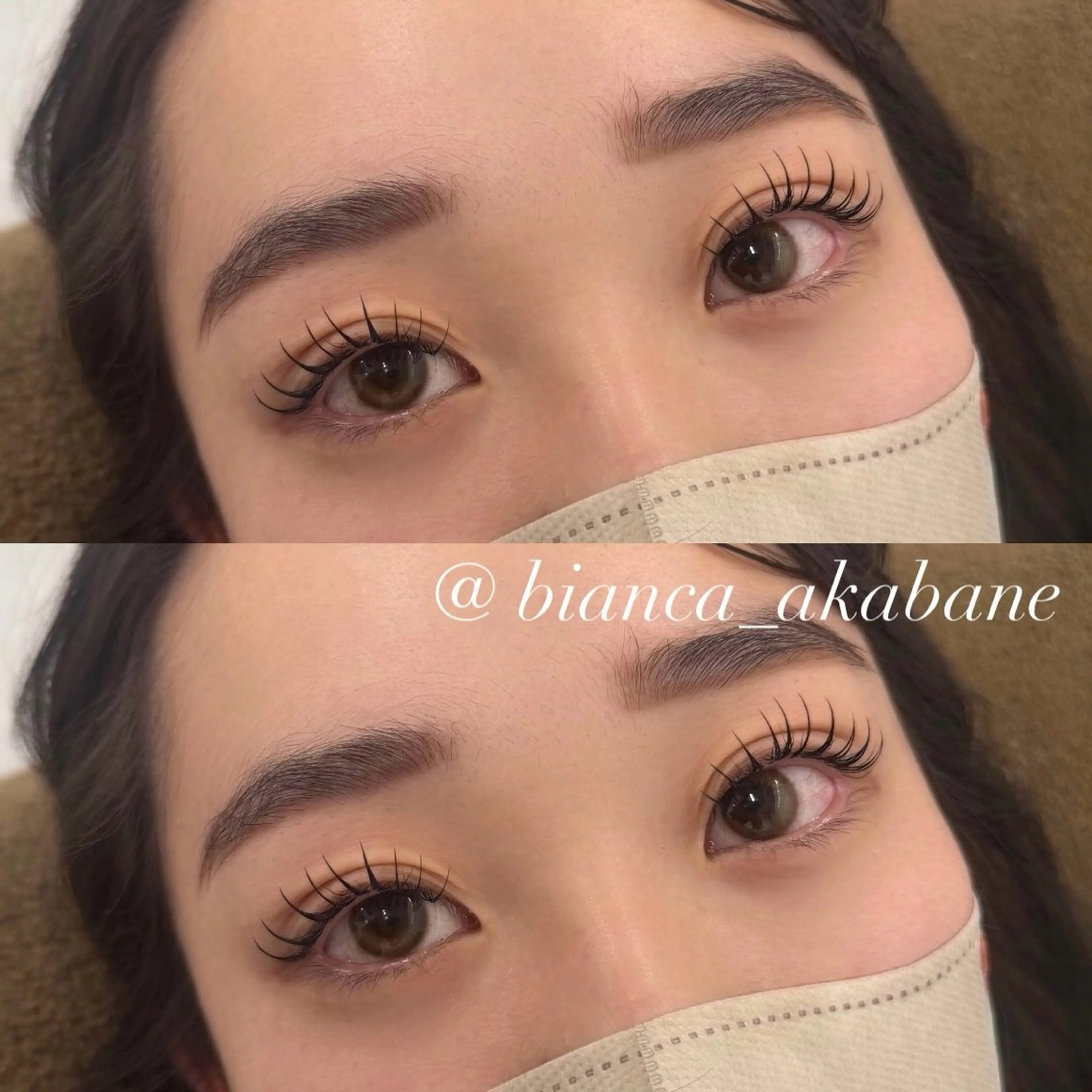 🤎バインドロック/ダブルラッシュ 100束🤎の写真