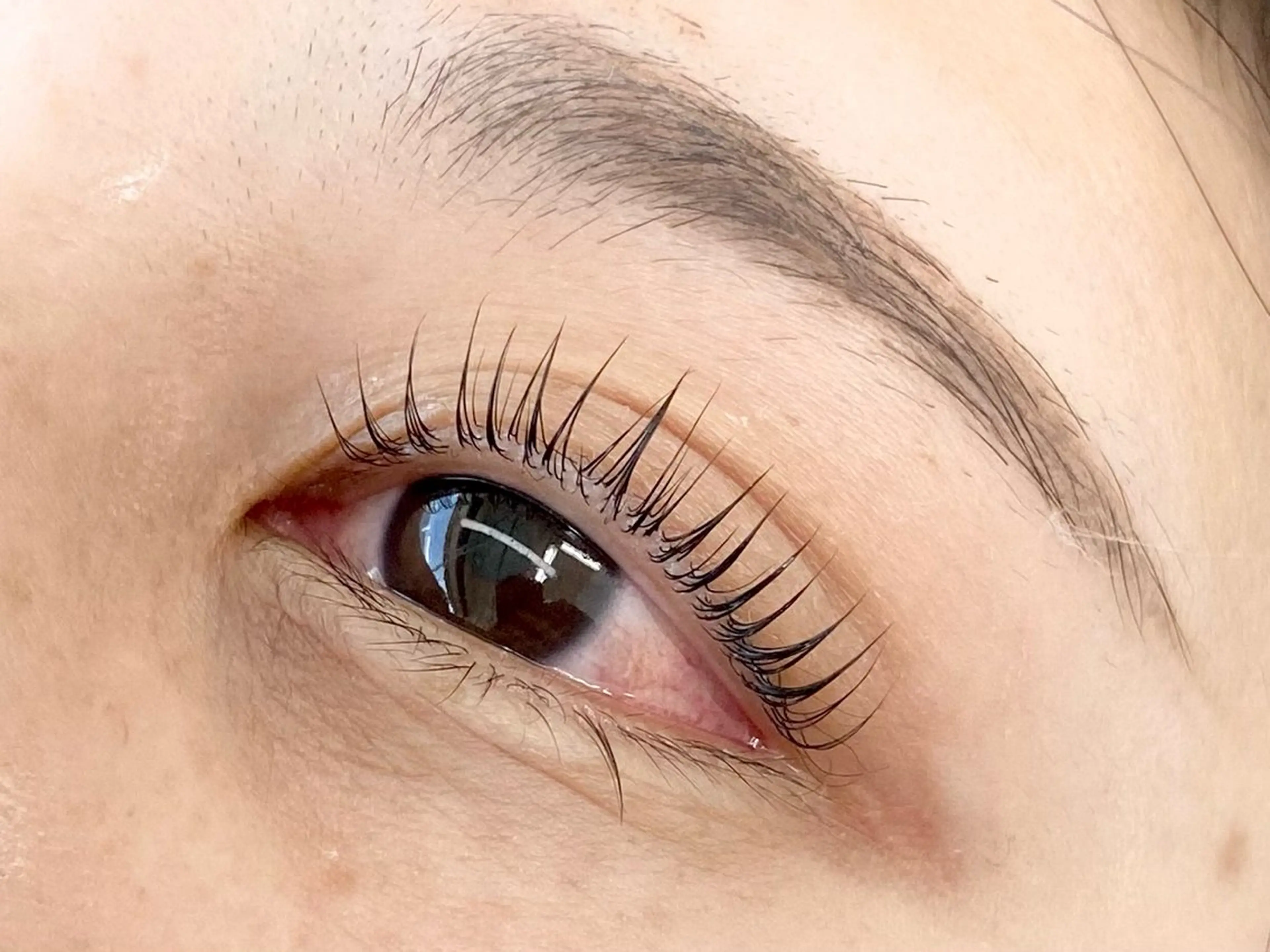 マツエク・マツパ 【メンズ眉毛サロン】 SENSE津田沼の眉毛・アイブロウイメージ