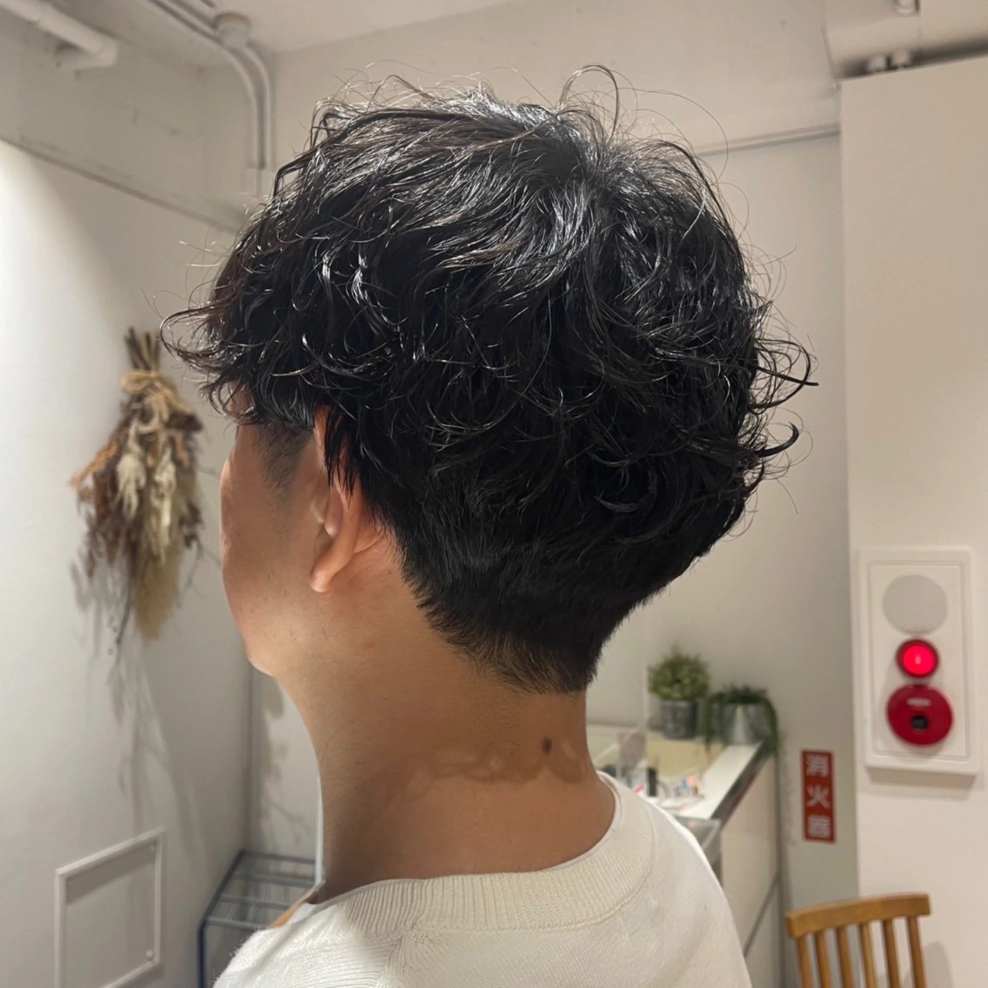 メンズ 井上 ほのかのヘアスタイル