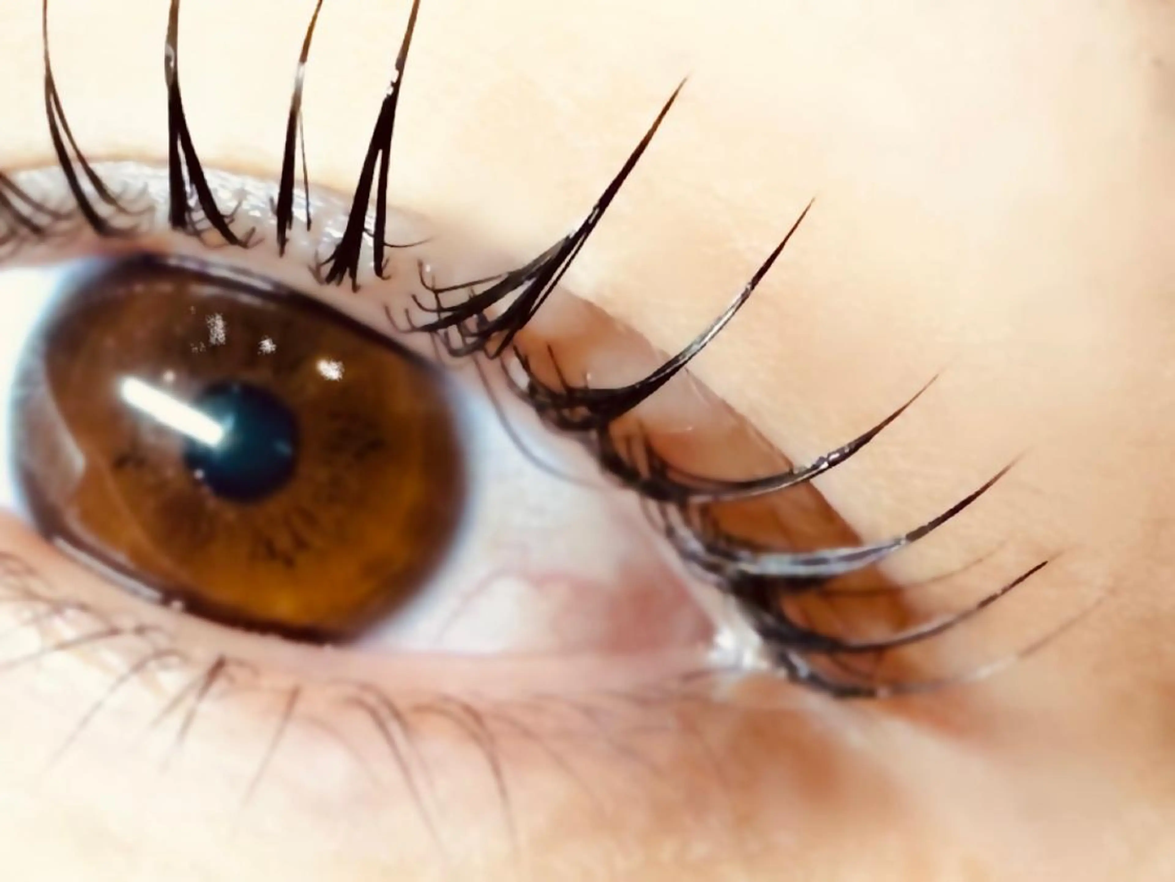 マツエク・マツパ komatsu eyelash恵比寿のマツエク・マツパデザイン