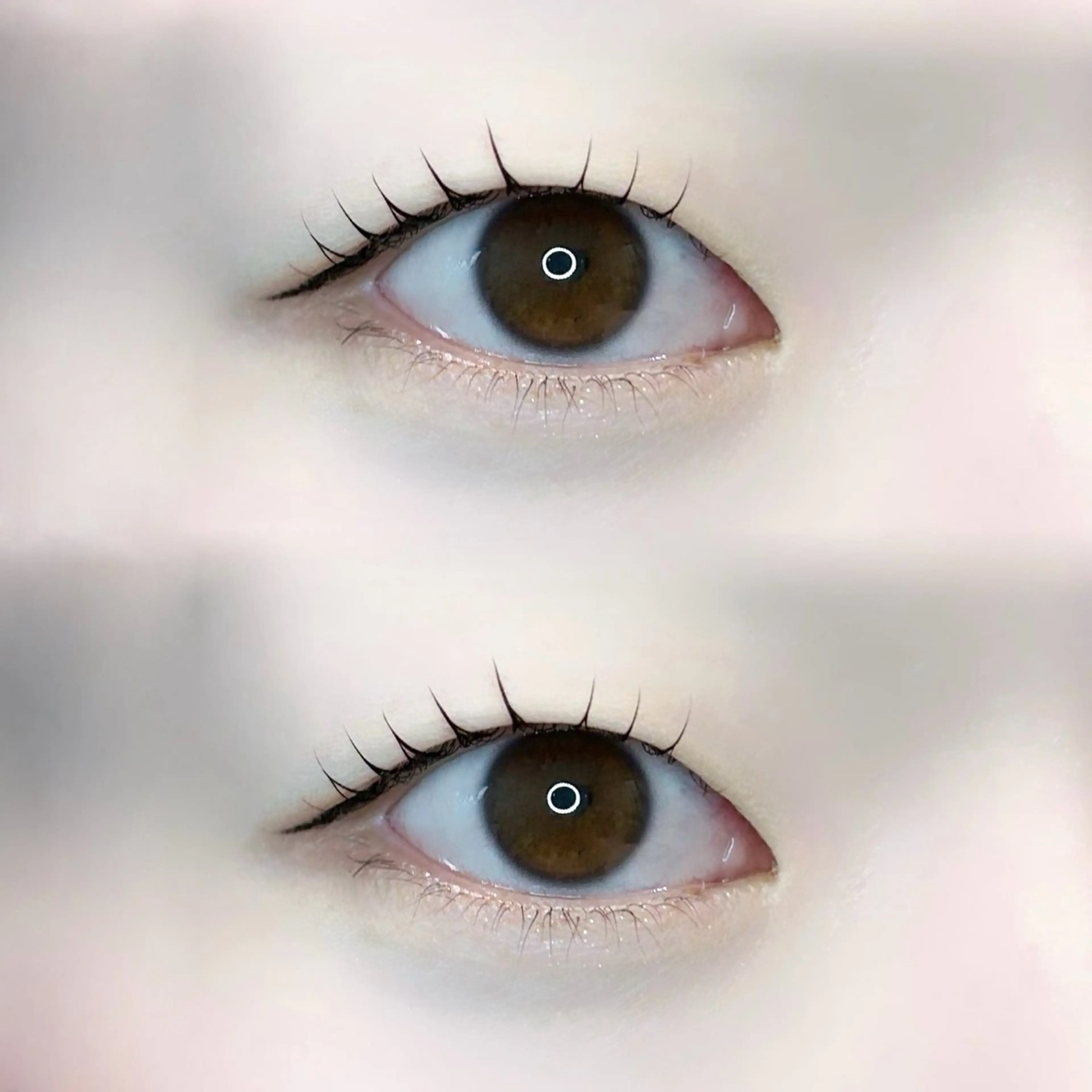 マツエク・マツパ 一重×まつ毛パーマ 🍀fein. sakura🍀の眉毛・アイブロウイメージ