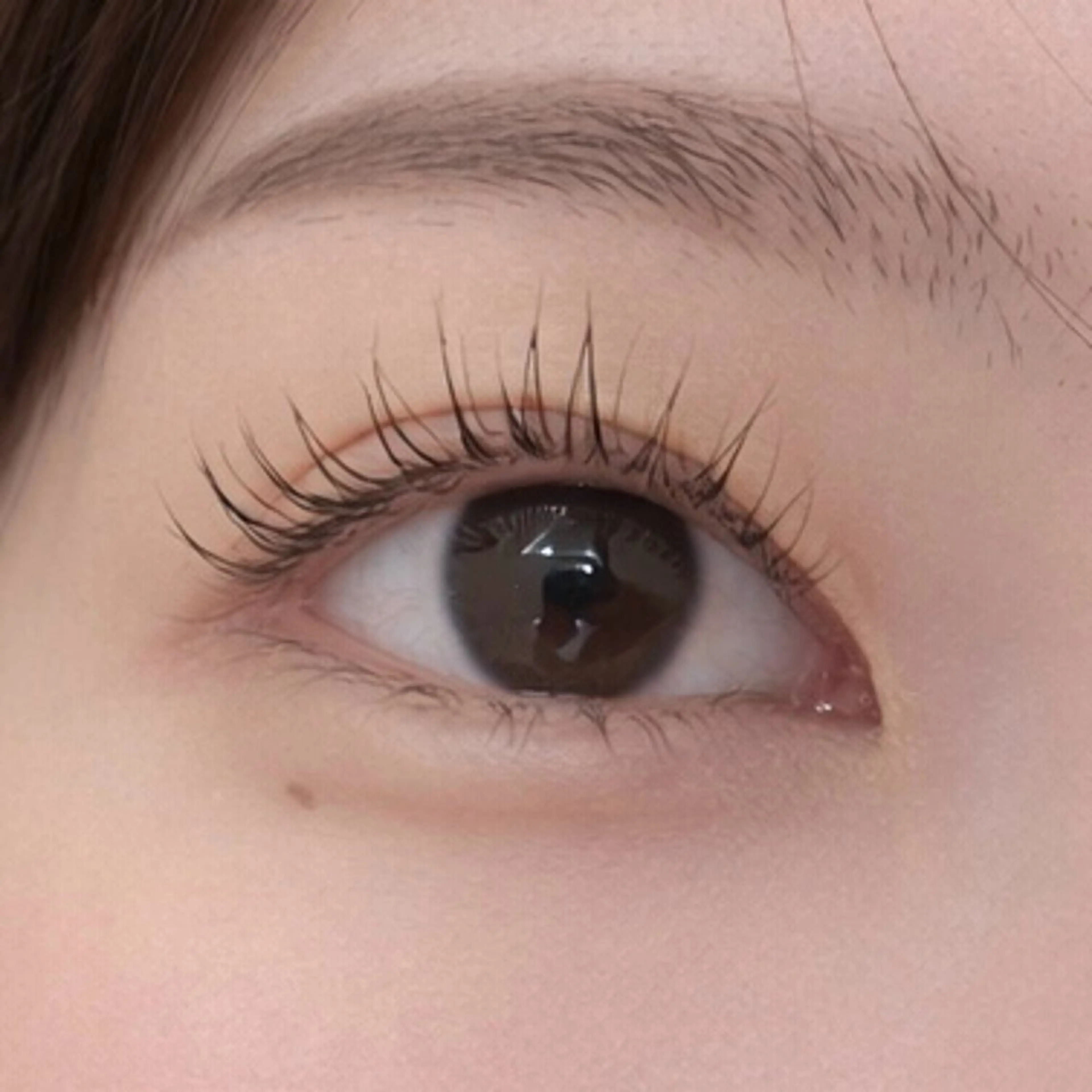 マツエク・マツパ パリジェンヌラッシュリフト 一重×まつ毛パーマ Pualice 船崎のマツエク・マツパデザイン