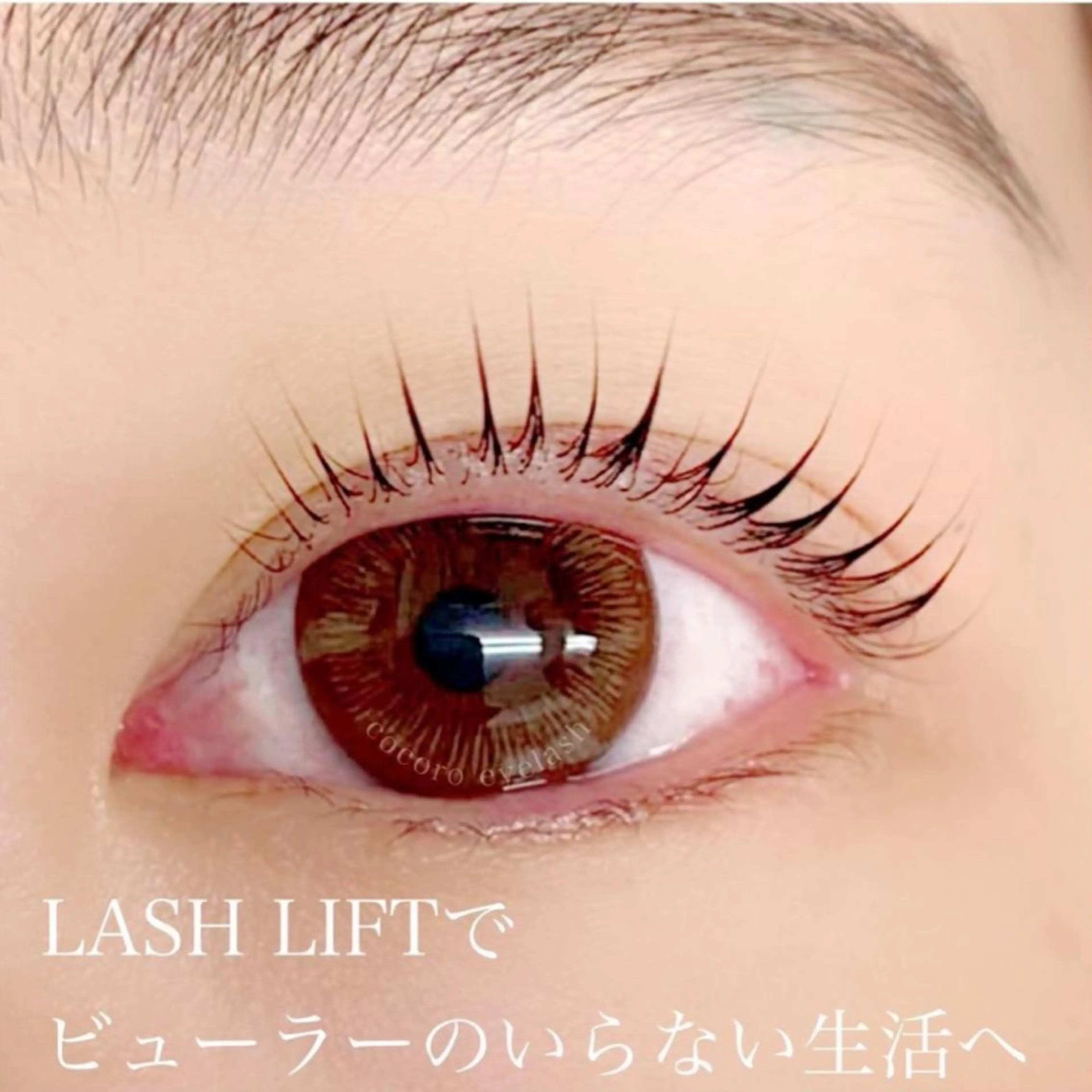 マツエク・マツパ まつ毛・眉/ 練習＆モニター専用のマツエク・マツパデザイン