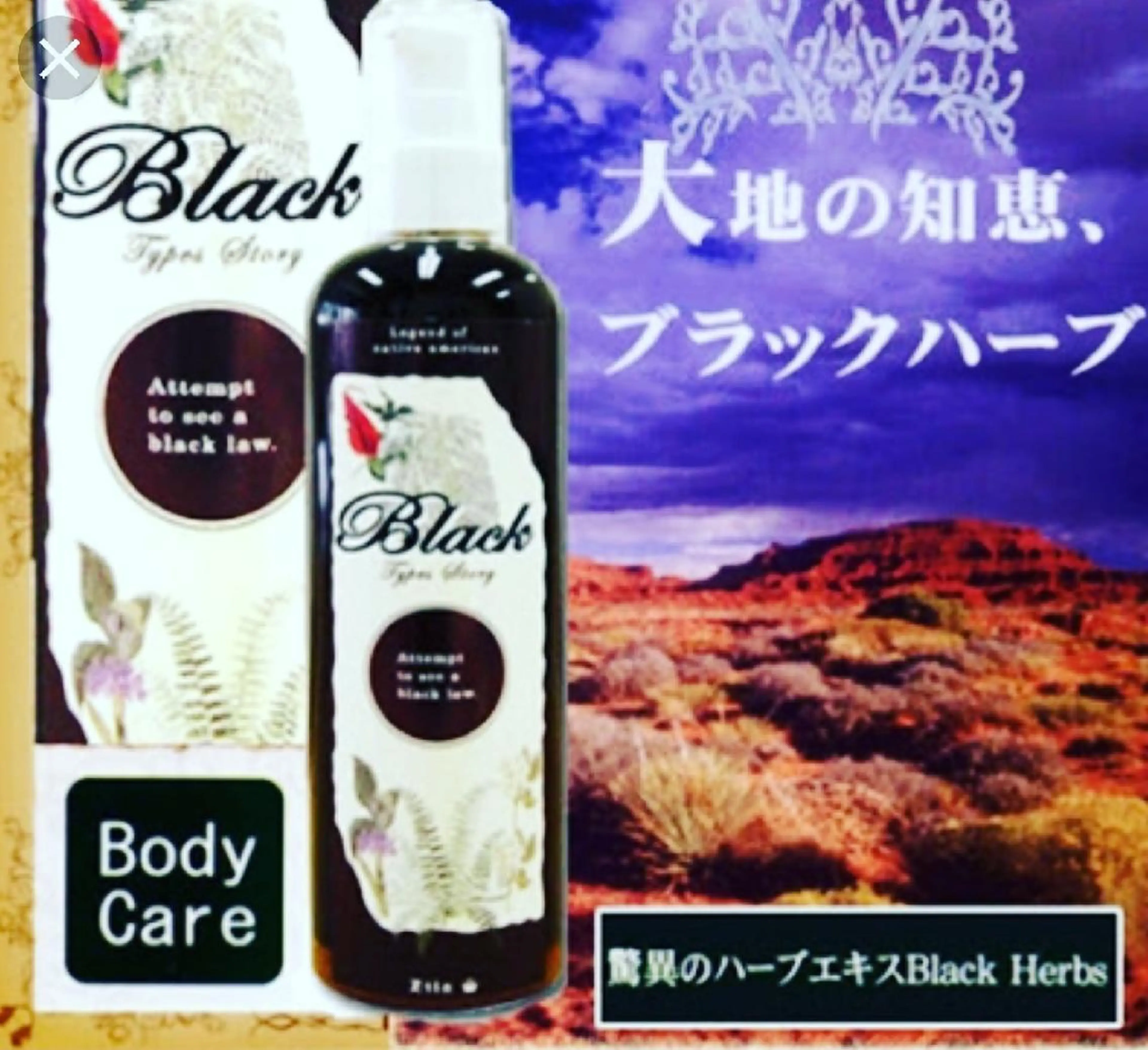 ブラックスリムボディの写真