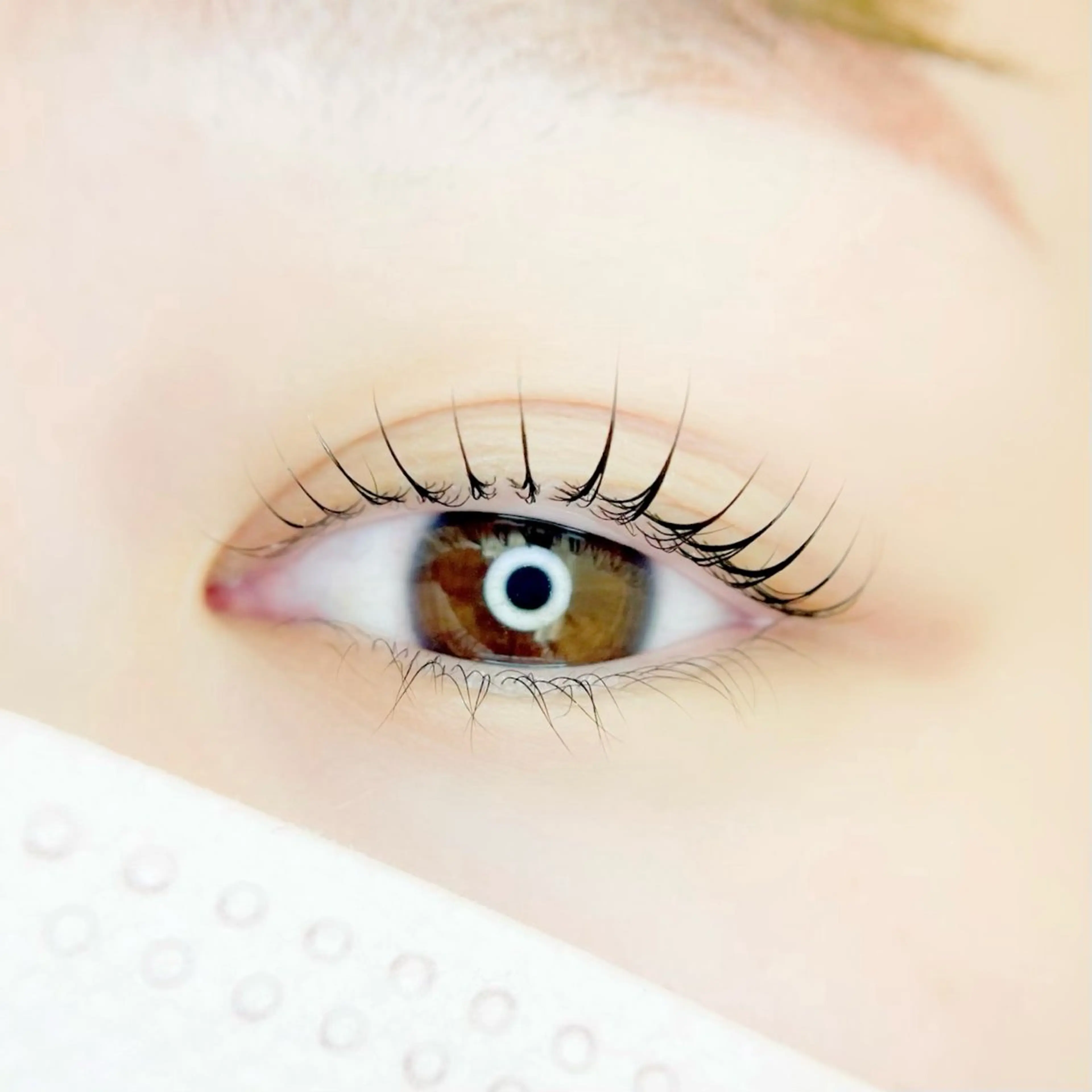 🩵上下ラッシュリフト(まつげパーマ)🩵ケラチントリートメント付の写真