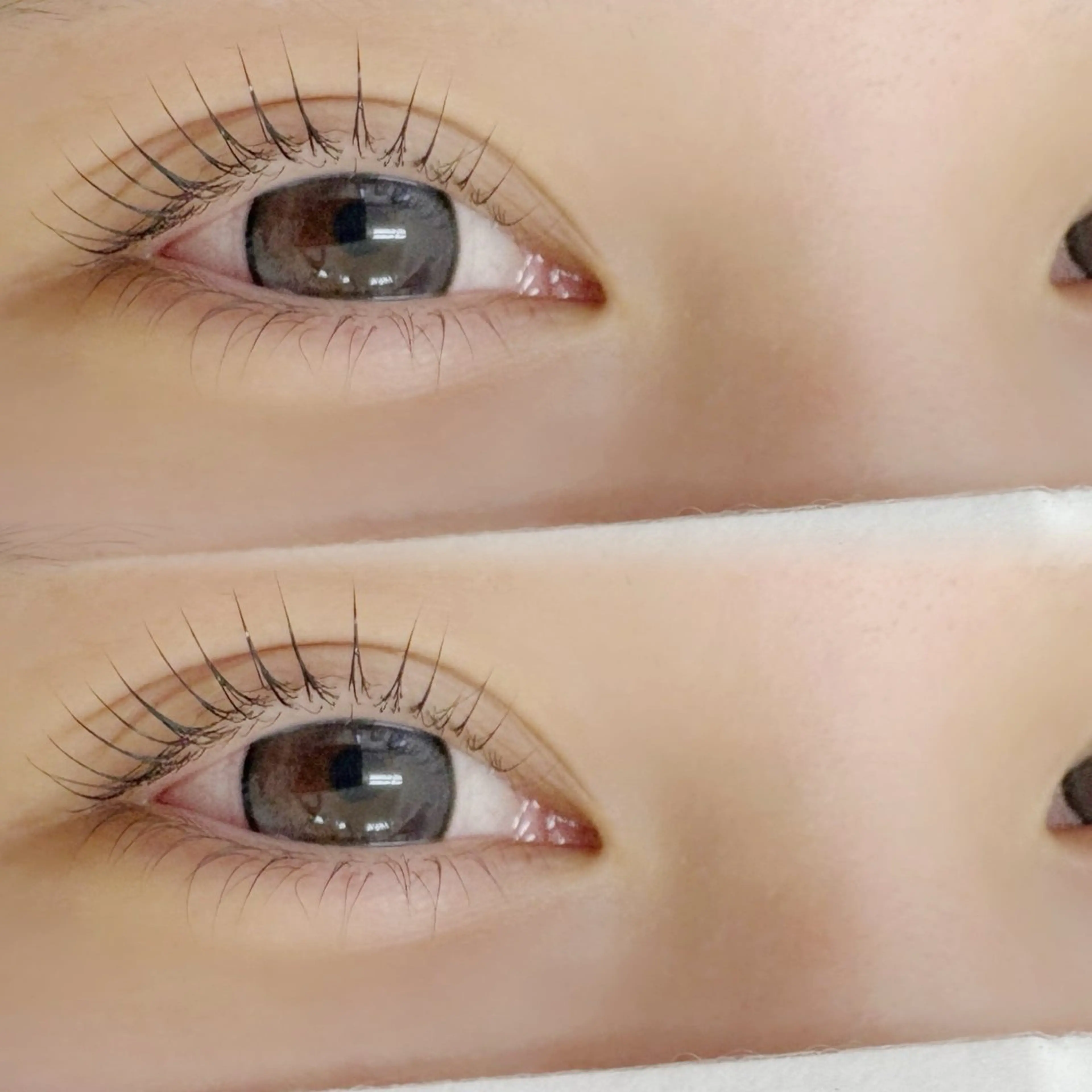 マツエク・マツパ 束感まつ毛 マツパ 【Natully】 Ami🧸のマツエク・マツパデザイン