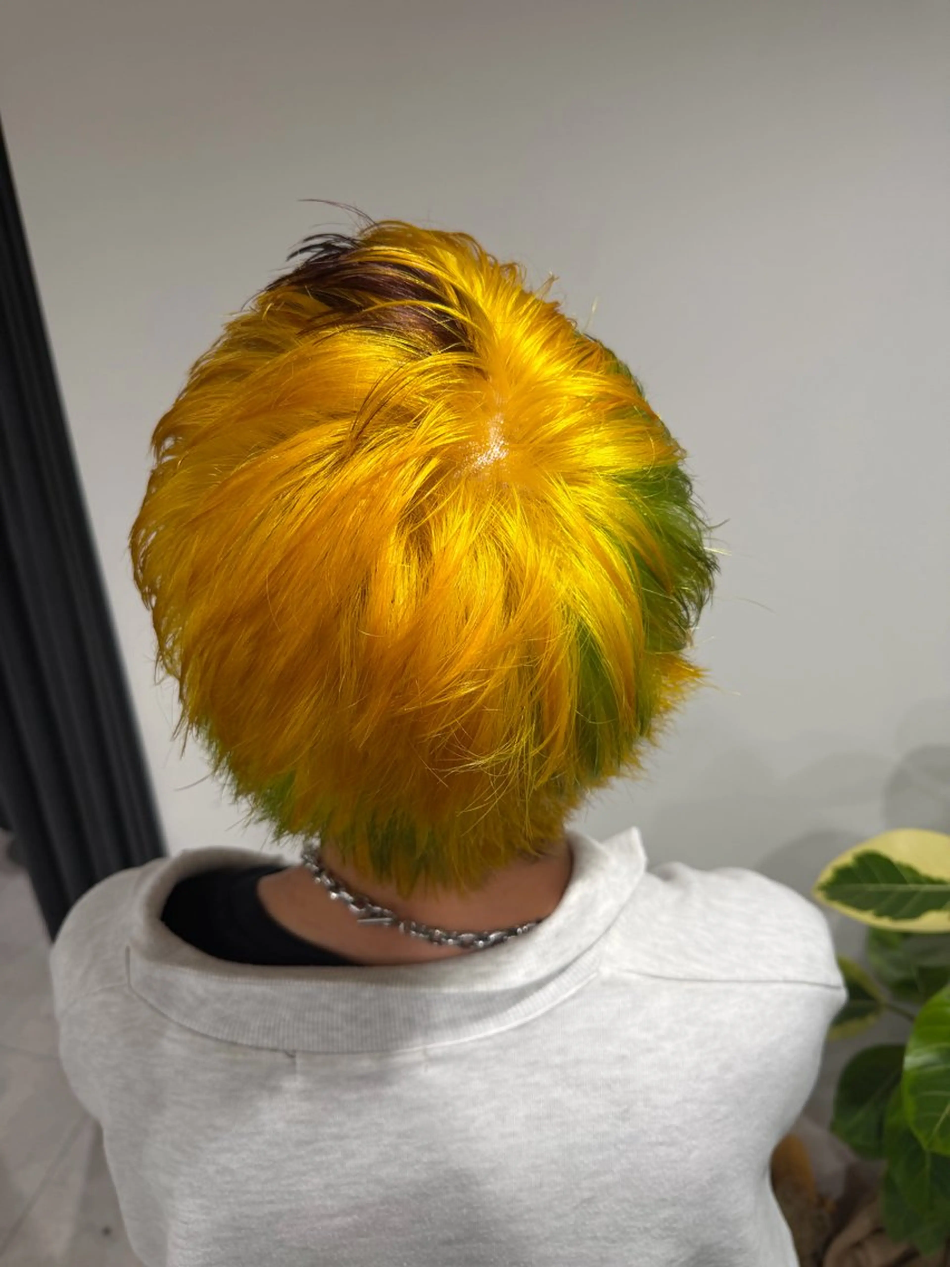 カラー coco ハルヒのヘアスタイル