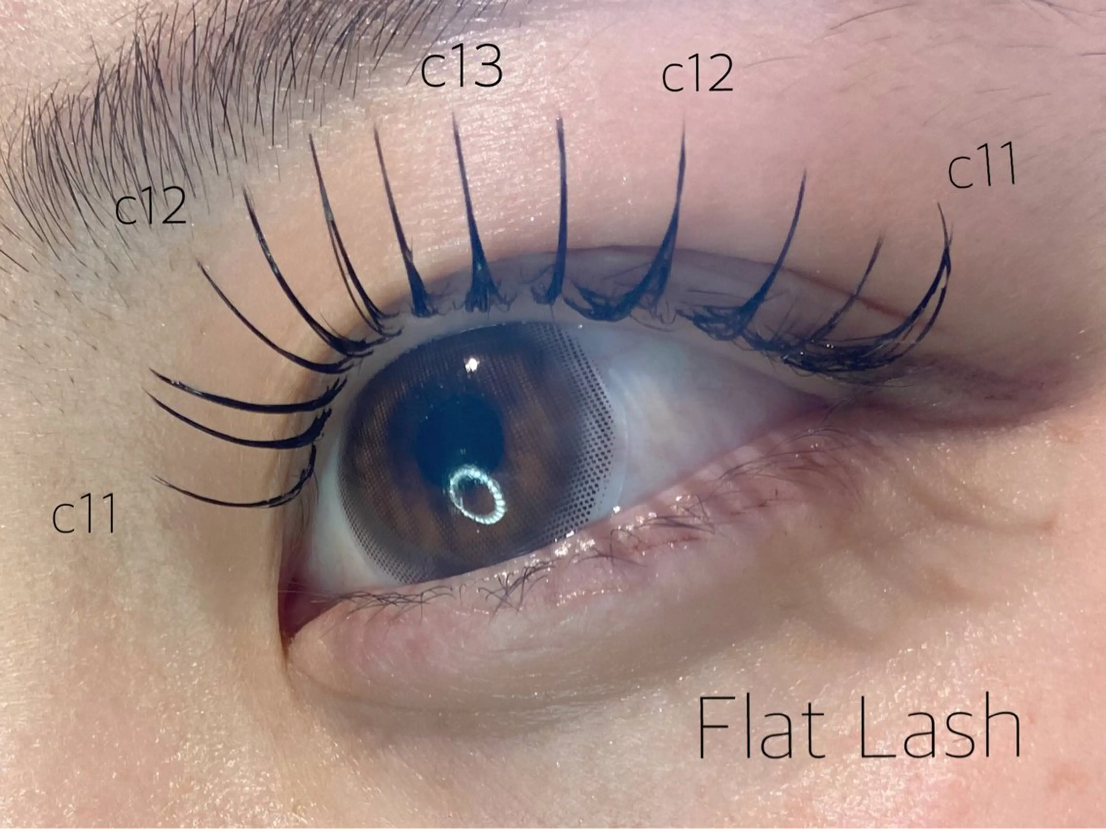 [ご新規様~2回目の方限定✨]👀マツエク120本まで(最高級セーブル)(毛質変更⭕️)の写真