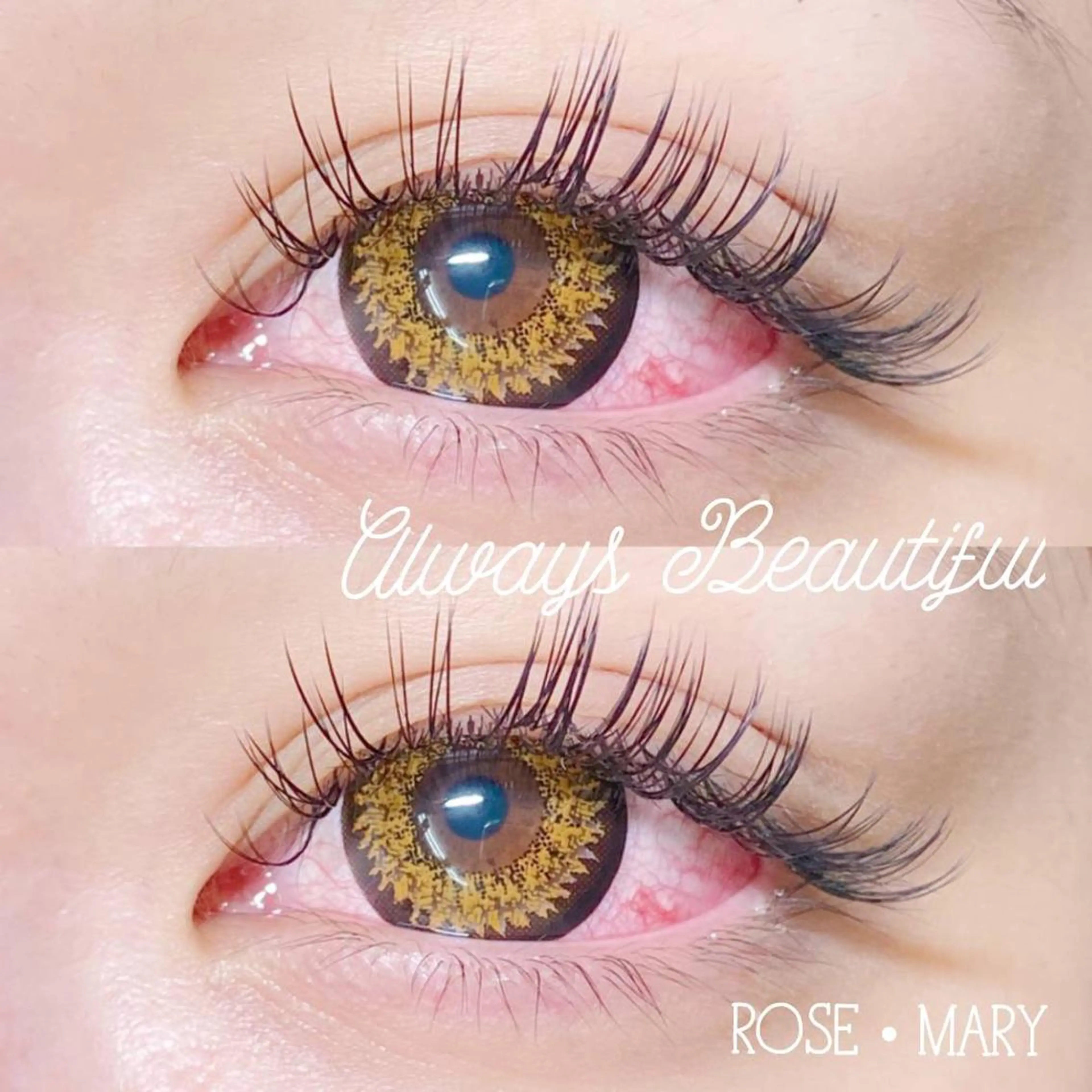 マツエク・マツパ Cカール キュート マツエク ROSE MARY 大竹のマツエク・マツパデザイン