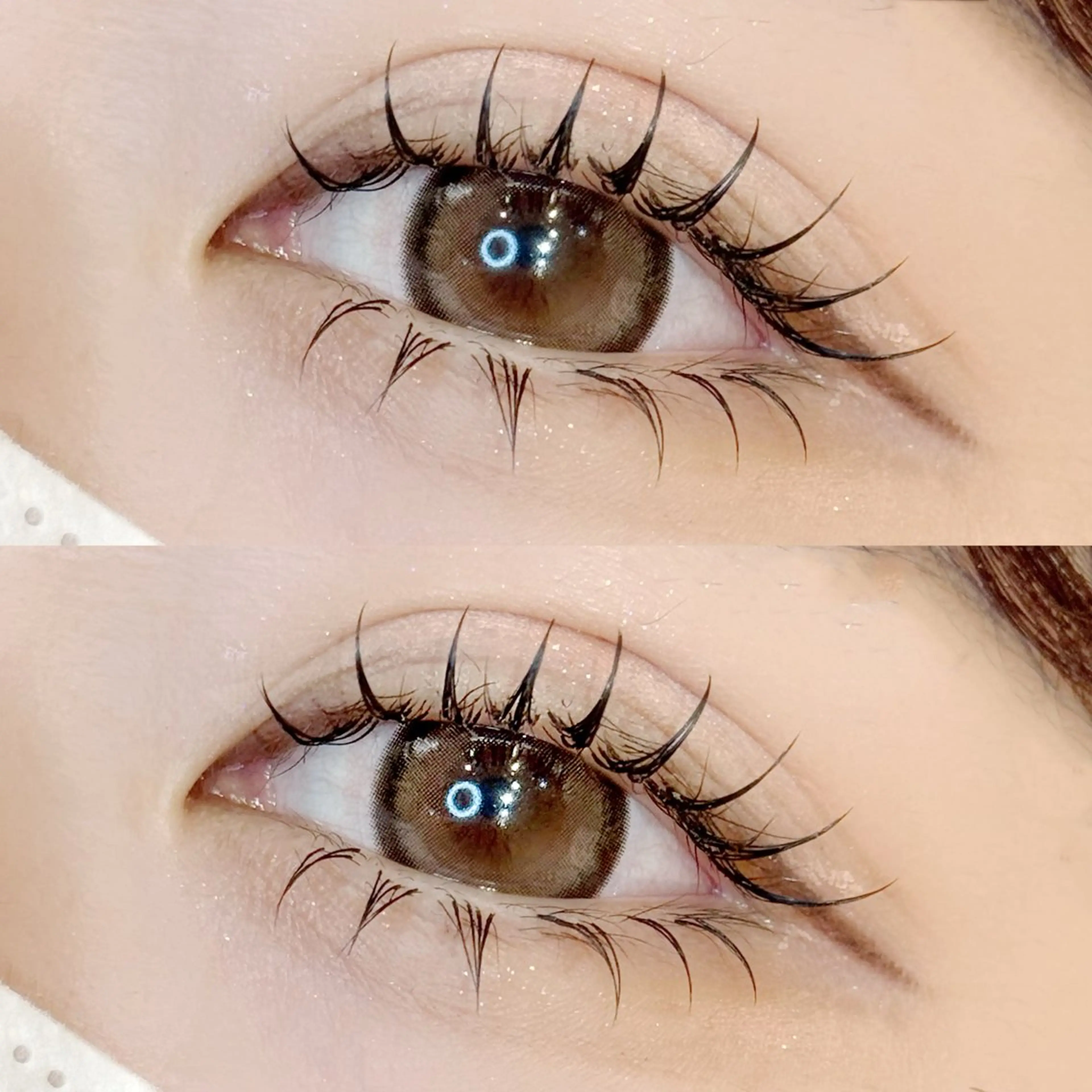 下まつげ40本までの写真