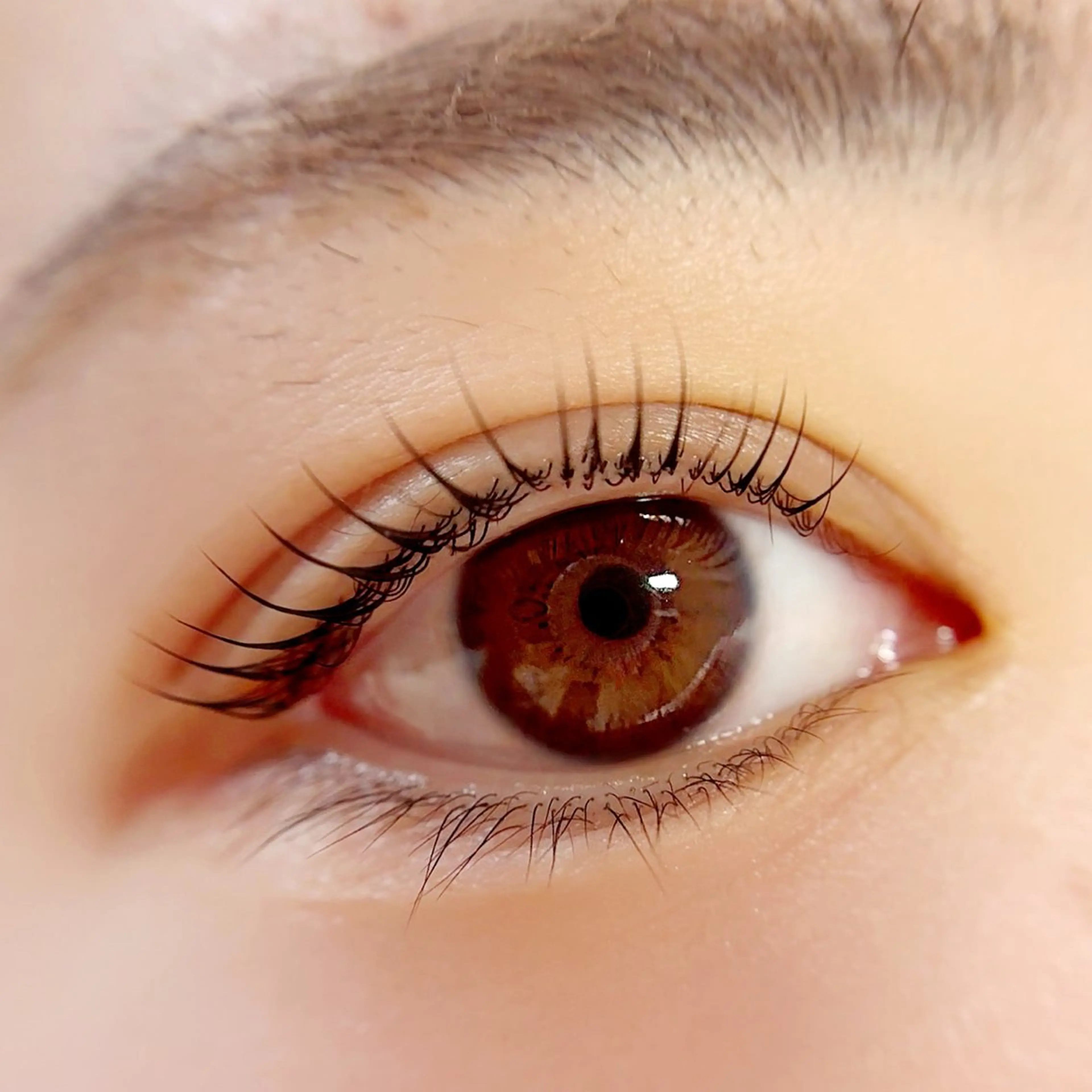 マツエク・マツパ マツパ eFu【lashlift&eyeblow】所属・長井市／ MINAGAWAのマツエク・マツパデザイン