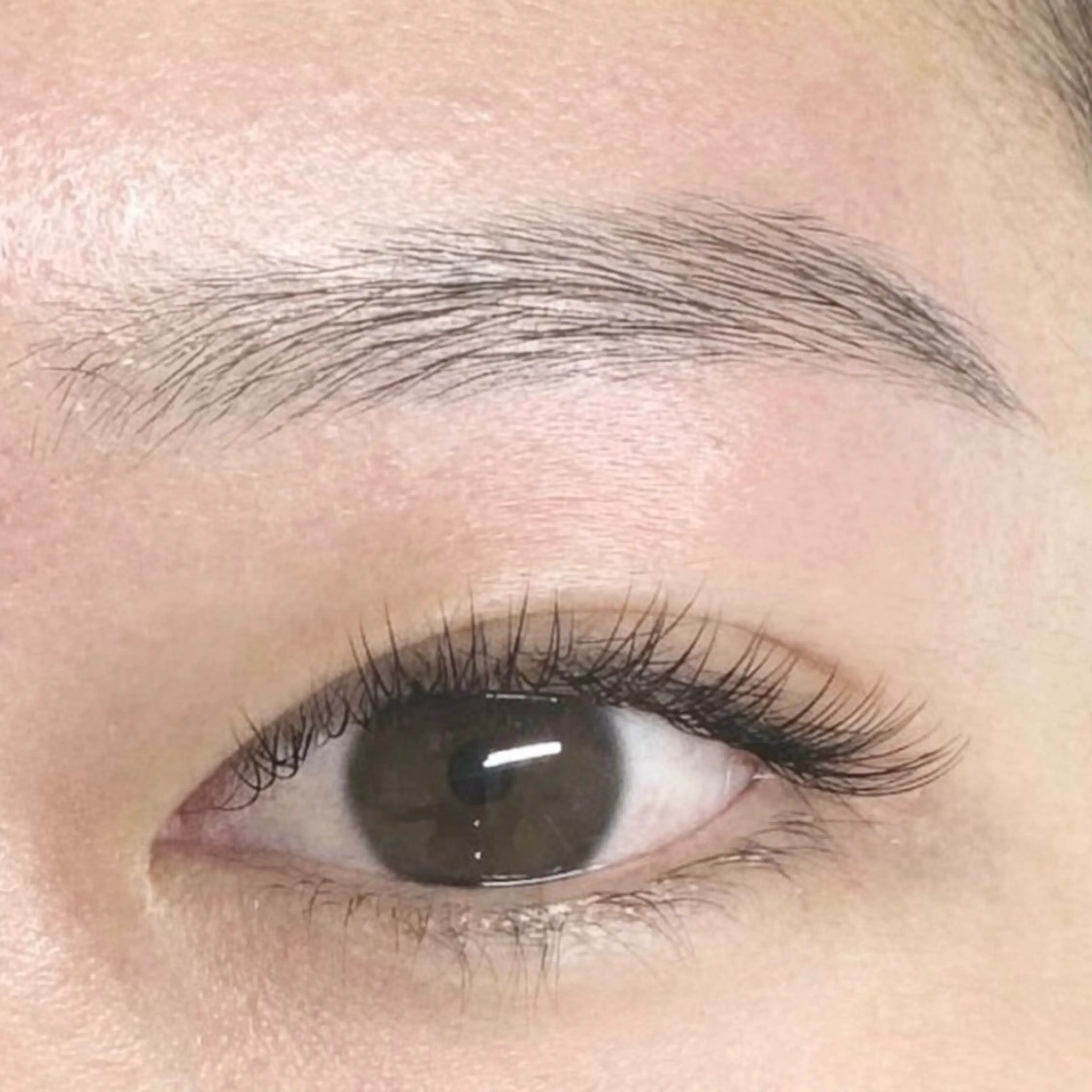 マツエク・マツパ 新宿眉毛専門店ar+ Fukamachiの眉毛・アイブロウイメージ