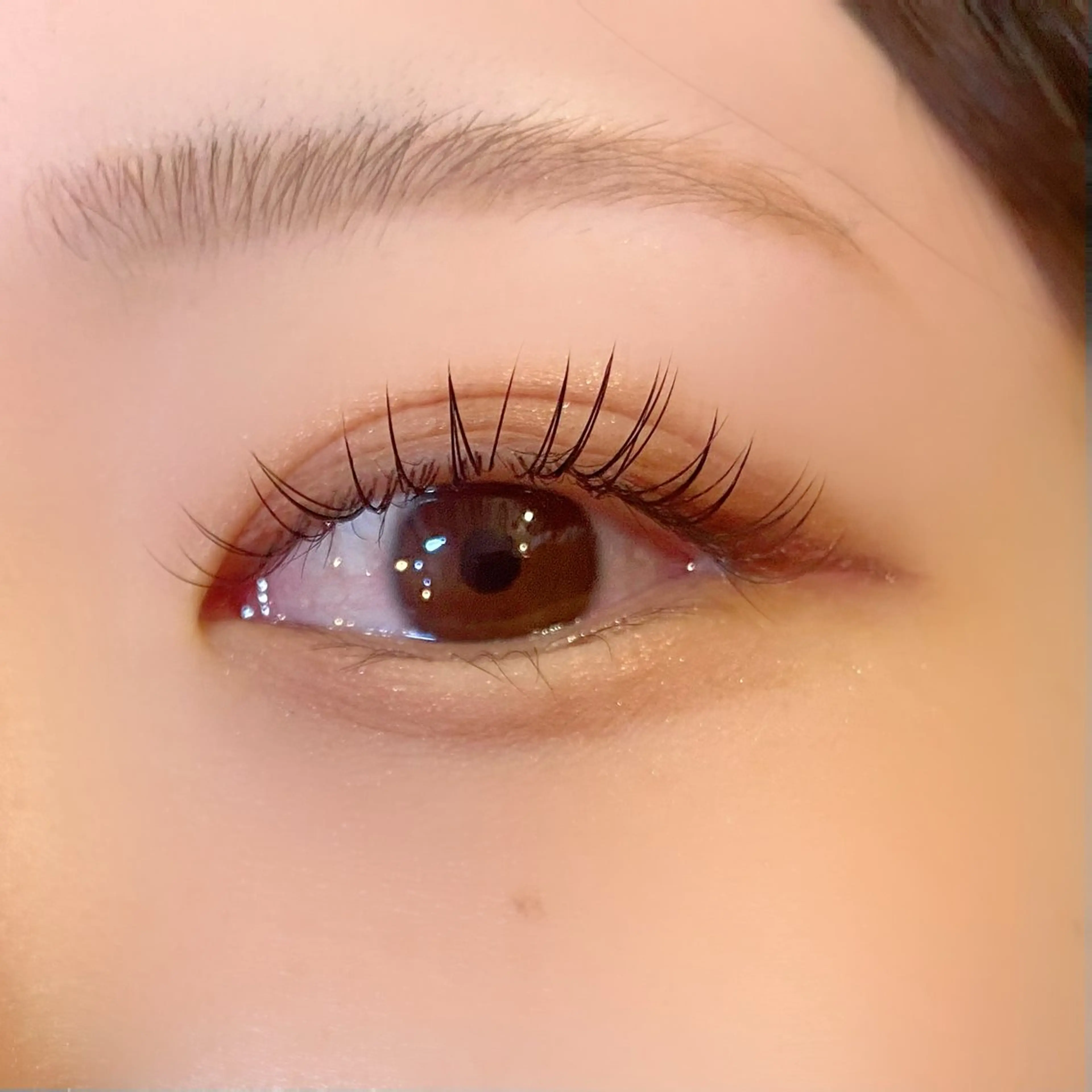 マツエク・マツパ フラットラッシュ Butterfly 有薗の眉毛・アイブロウイメージ