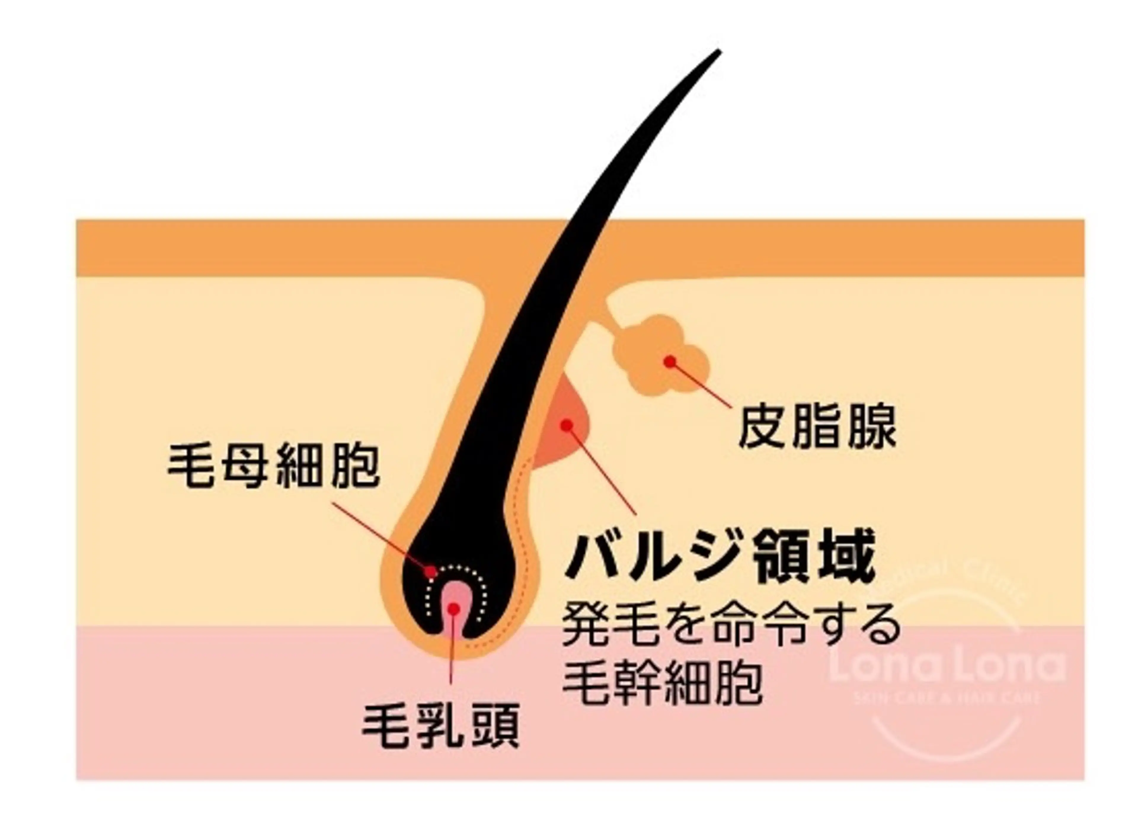 トータル美容サロン☆ 脱毛/小顔/毛穴洗浄のエステ・リラクイメージ