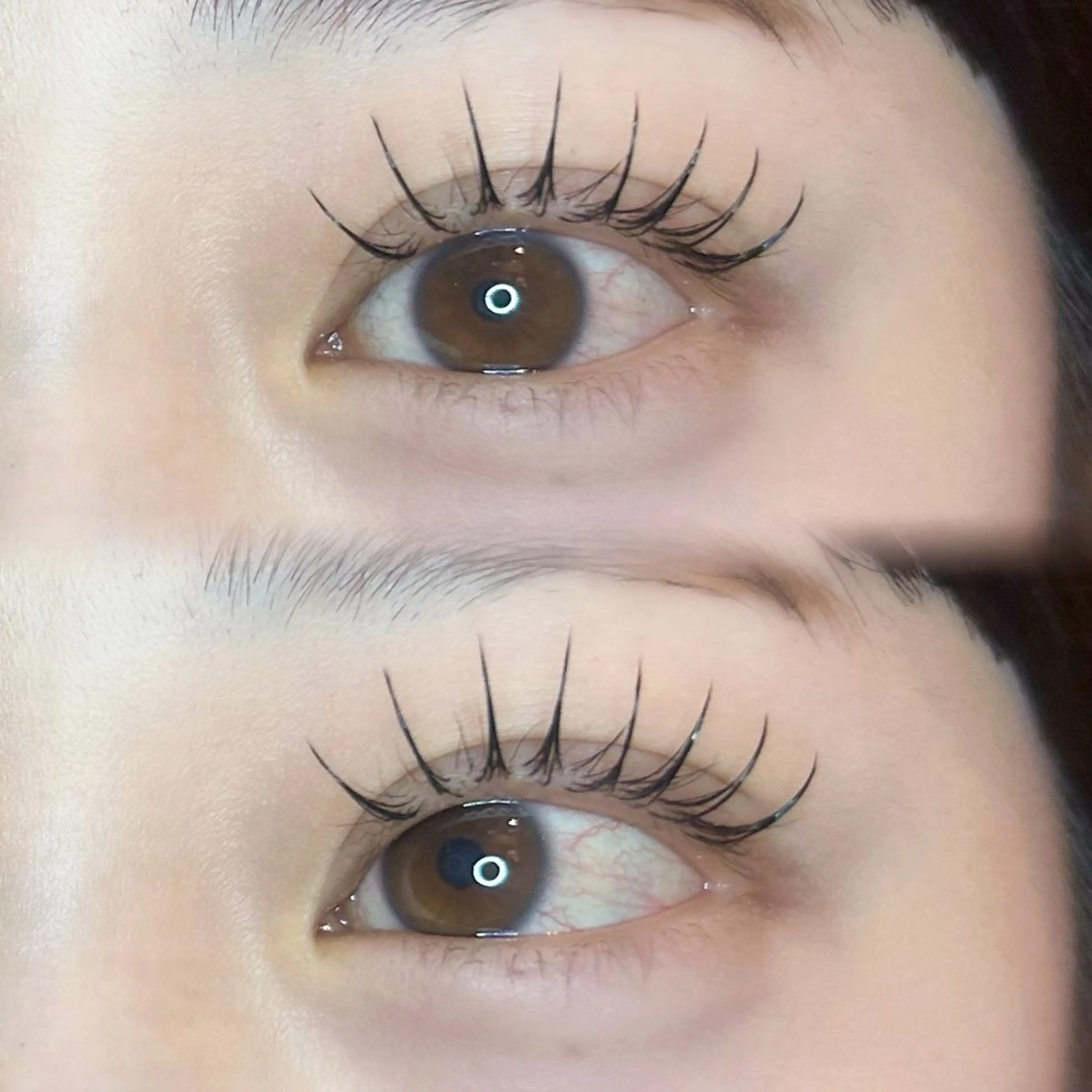 マツエク・マツパ こと / 束感マツエク🐩🤍のマツエク・マツパデザイン