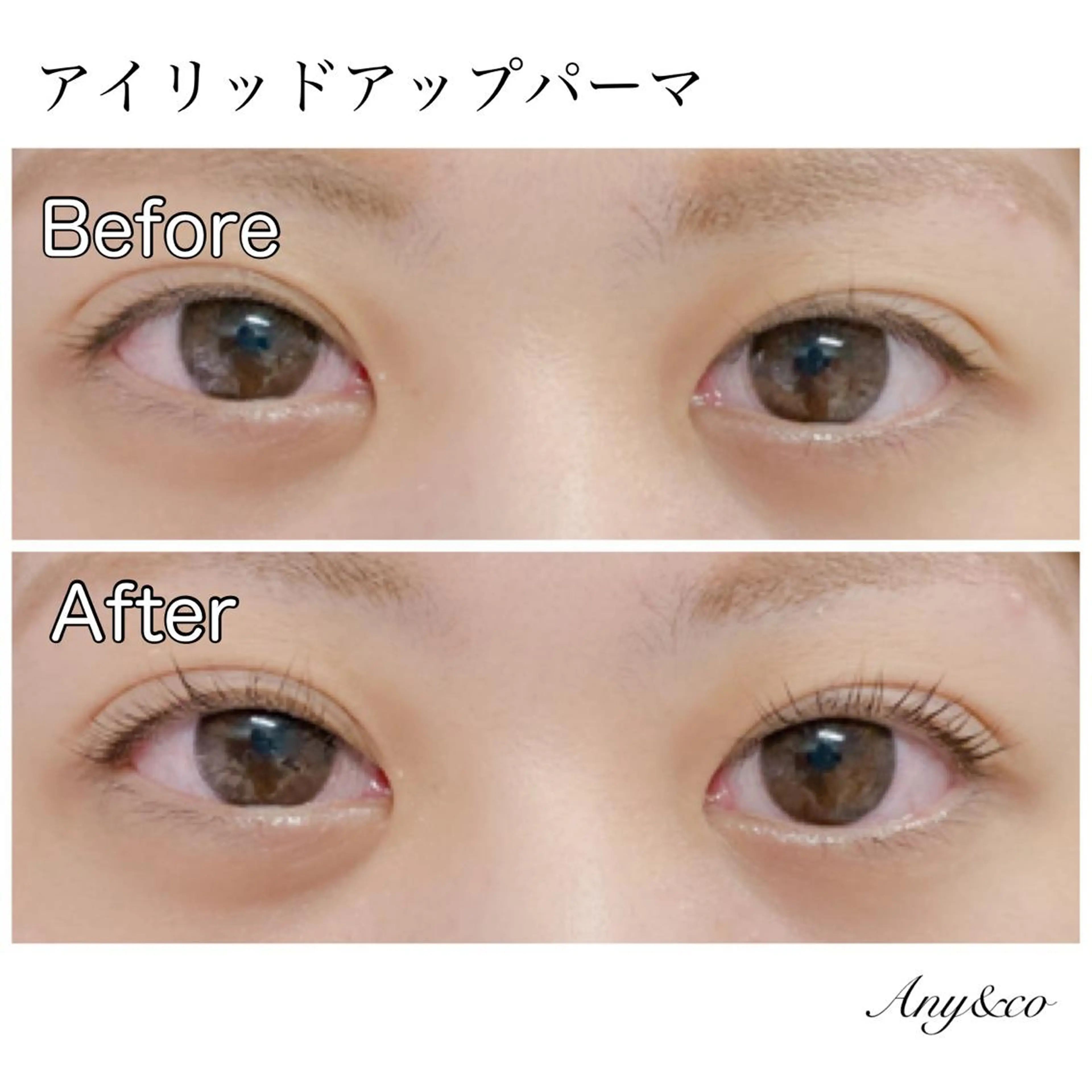 マツエク・マツパ アイリッドアップパーマ Any&co 【エニコ】のマツエク・マツパデザイン