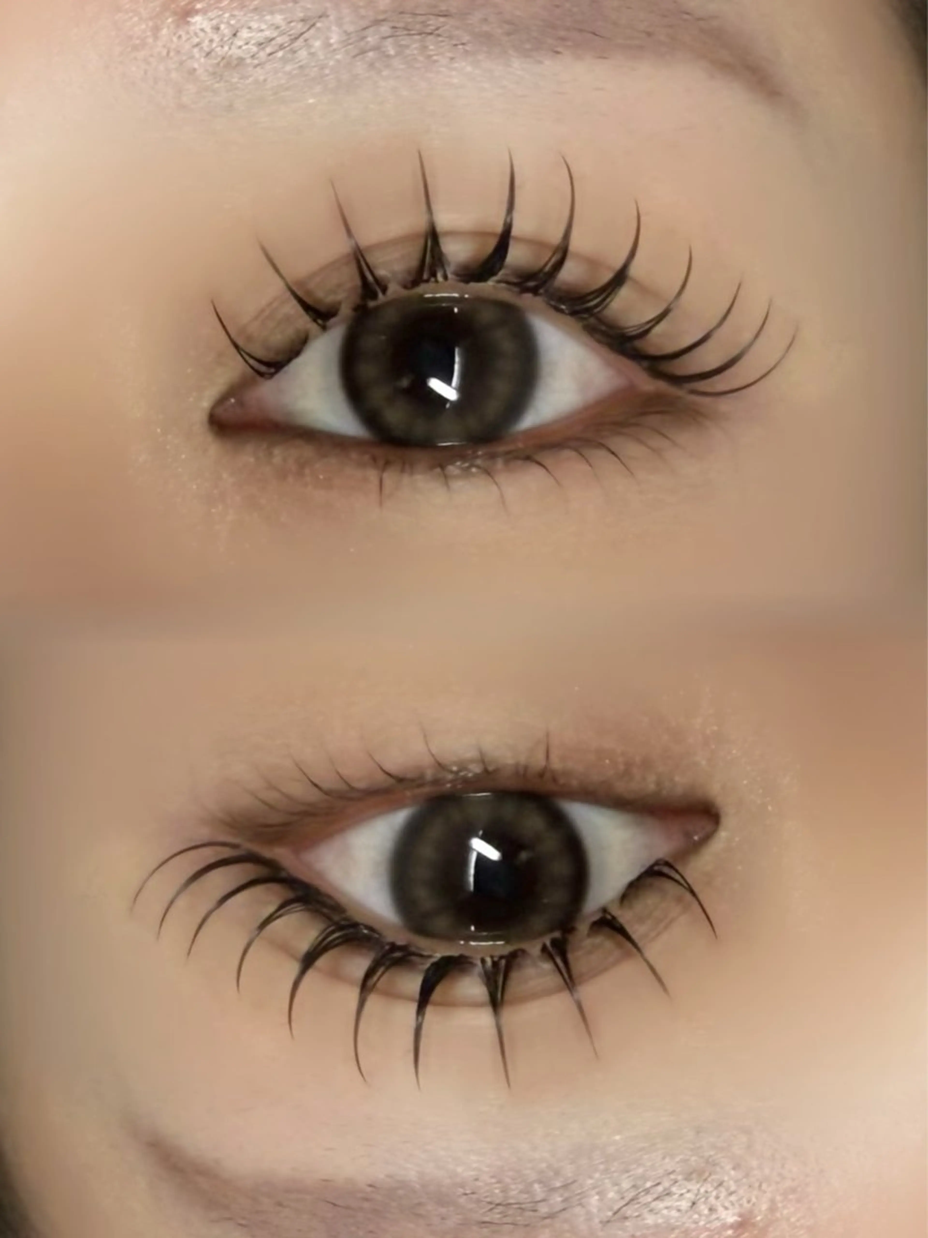 フラットラッシュ 100本の写真