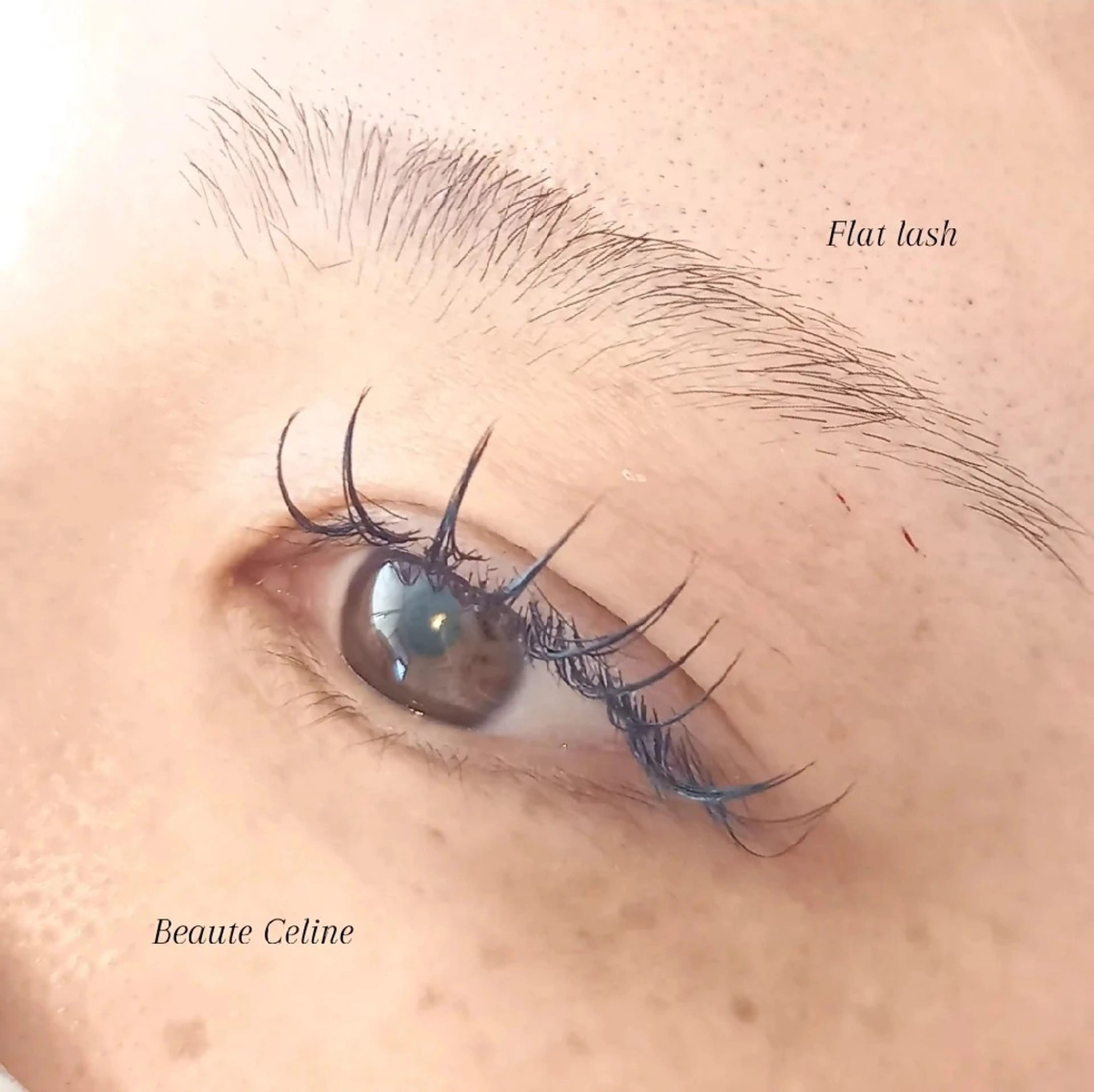 マツエク・マツパ マツエク beaute.celine所属・8時～✨beaute Celine🌛🌹のマツエク・マツパデザイン