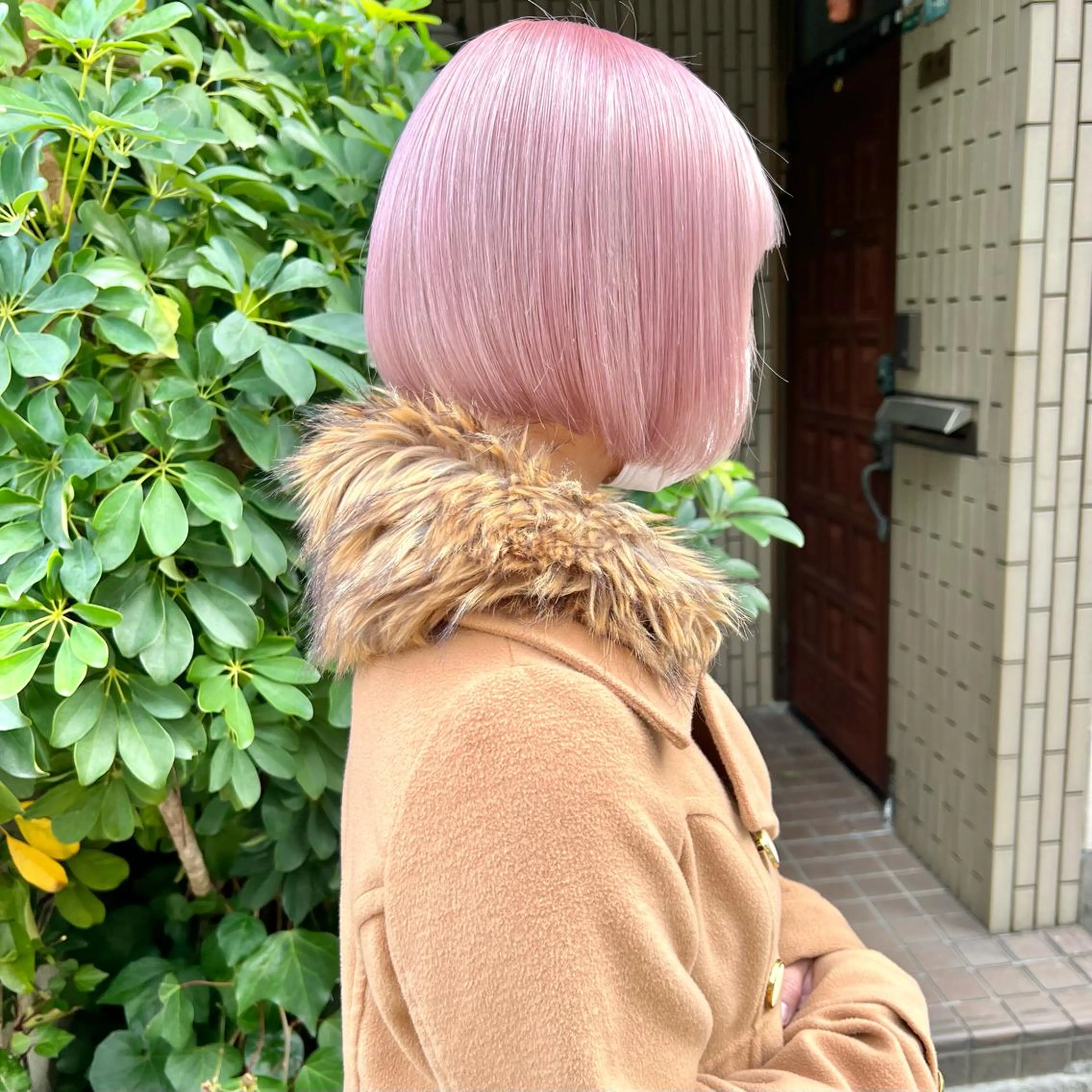 ショート カラー ブリーチ 透明感カラー ハイトーンカラー ケアブリーチ×ハイト ーン専門/SHOTAのヘアスタイル