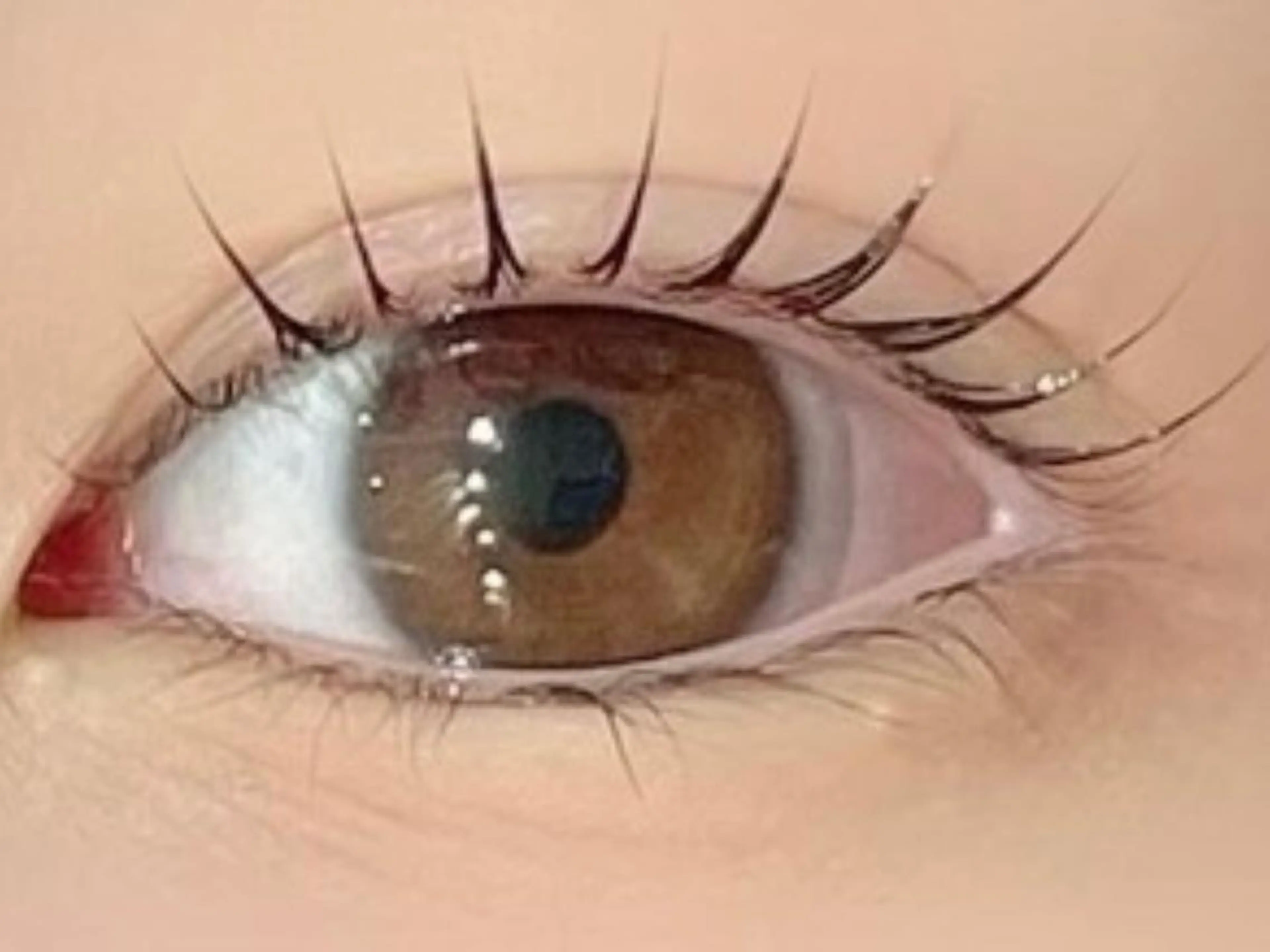 マツエク・マツパ Mian 津田沼のマツエク・マツパデザイン