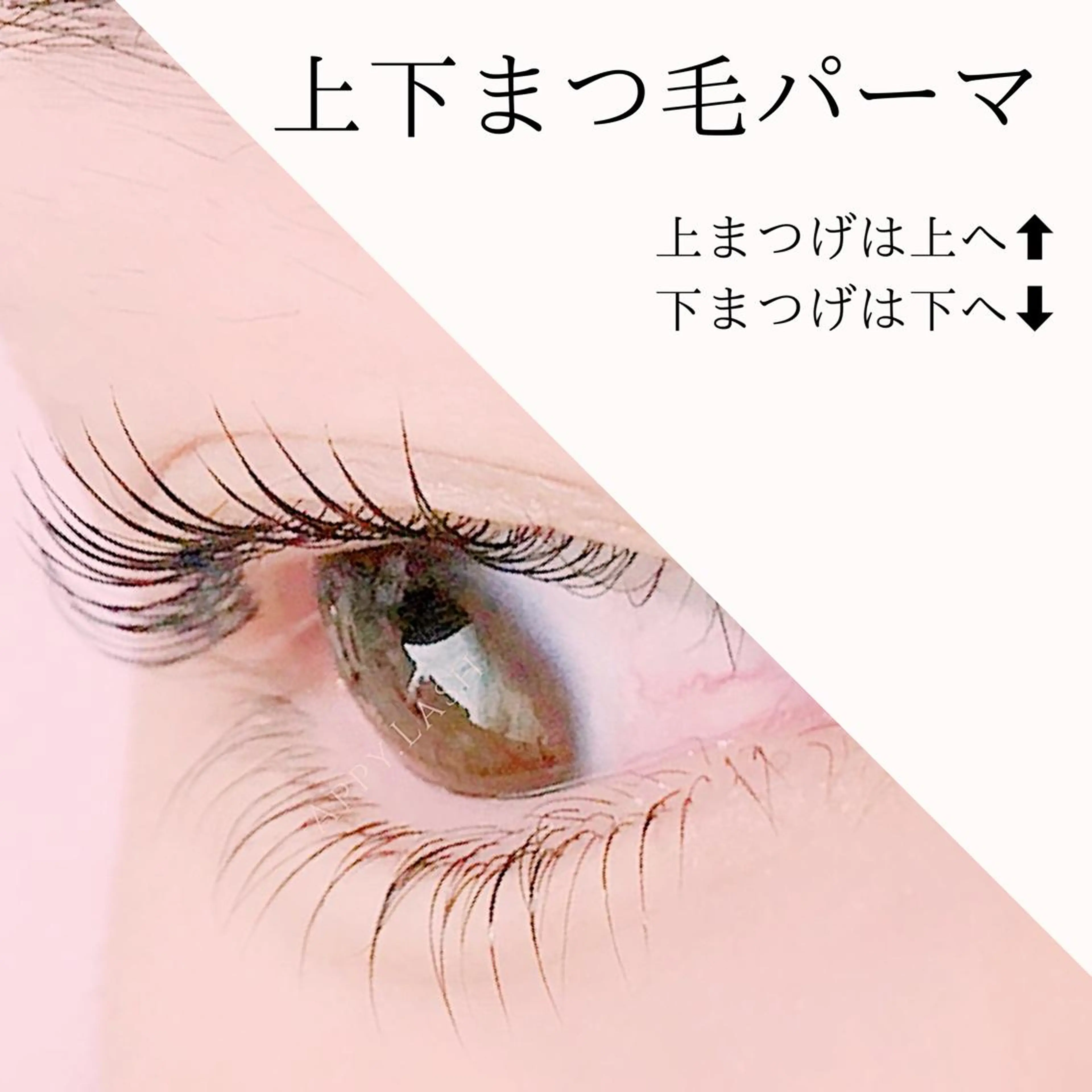 マツエク・マツパ まつげと眉の専門店 Appy.Lashのマツエク・マツパデザイン