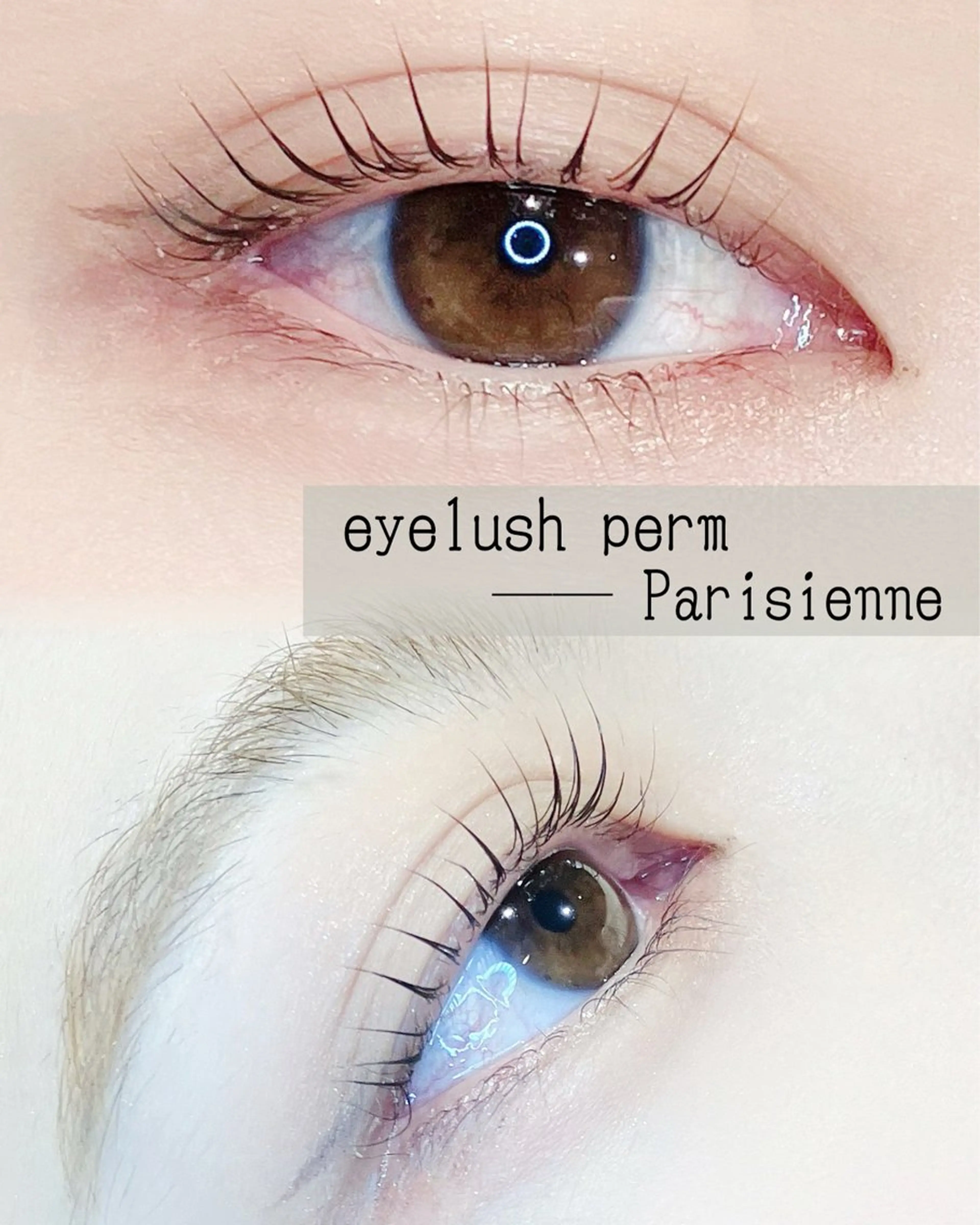 【初回限定】パリジェンヌ&マスカラパーマ【まつ毛パーマ上】の写真