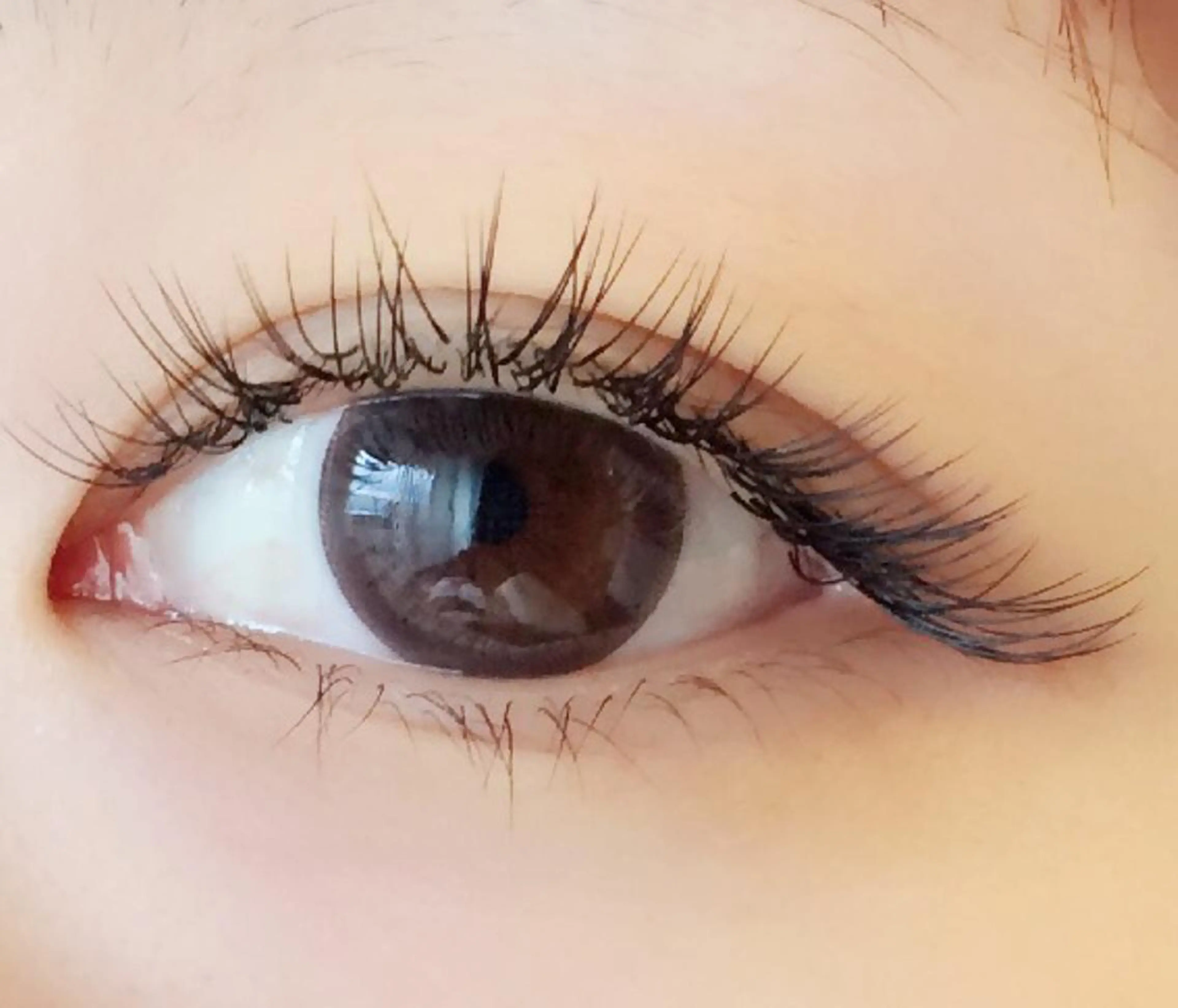 シングルラッシュ✨120本¥3,980✨の写真