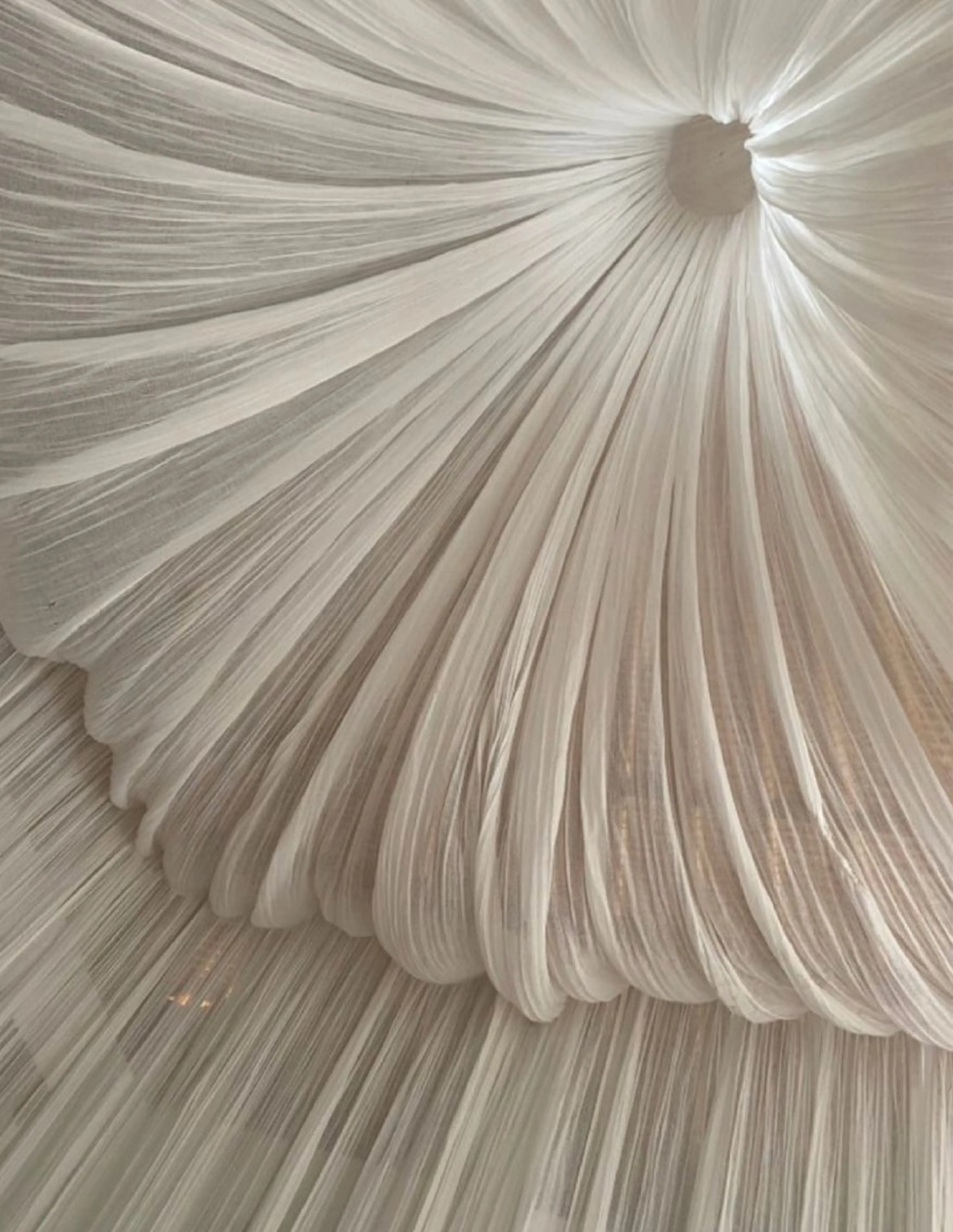 マツエク・マツパ eyelly🌿 nanaの眉毛・アイブロウイメージ