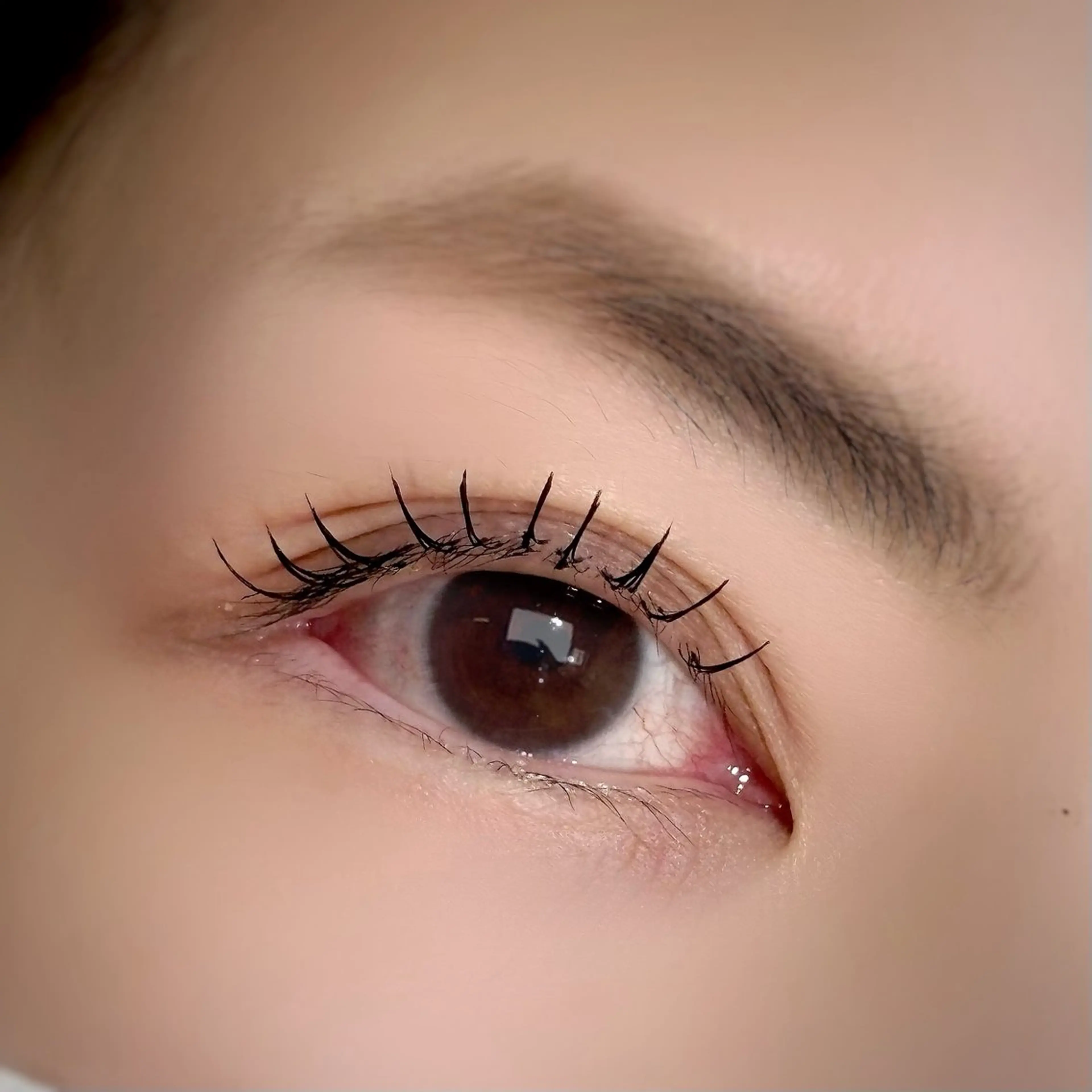 LEDマツエク80本の写真