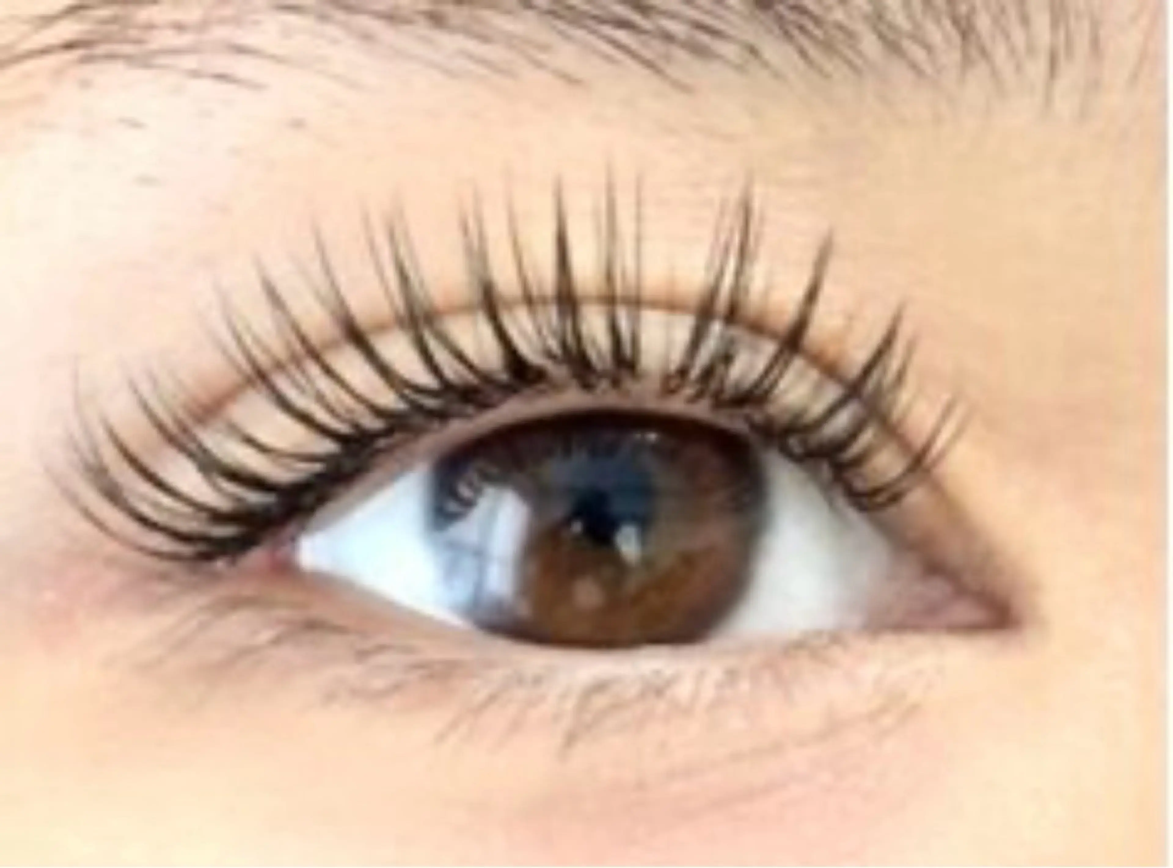 ボリューム＆束感！ダブルフラットラッシュ100束200本/当店オフ込の写真