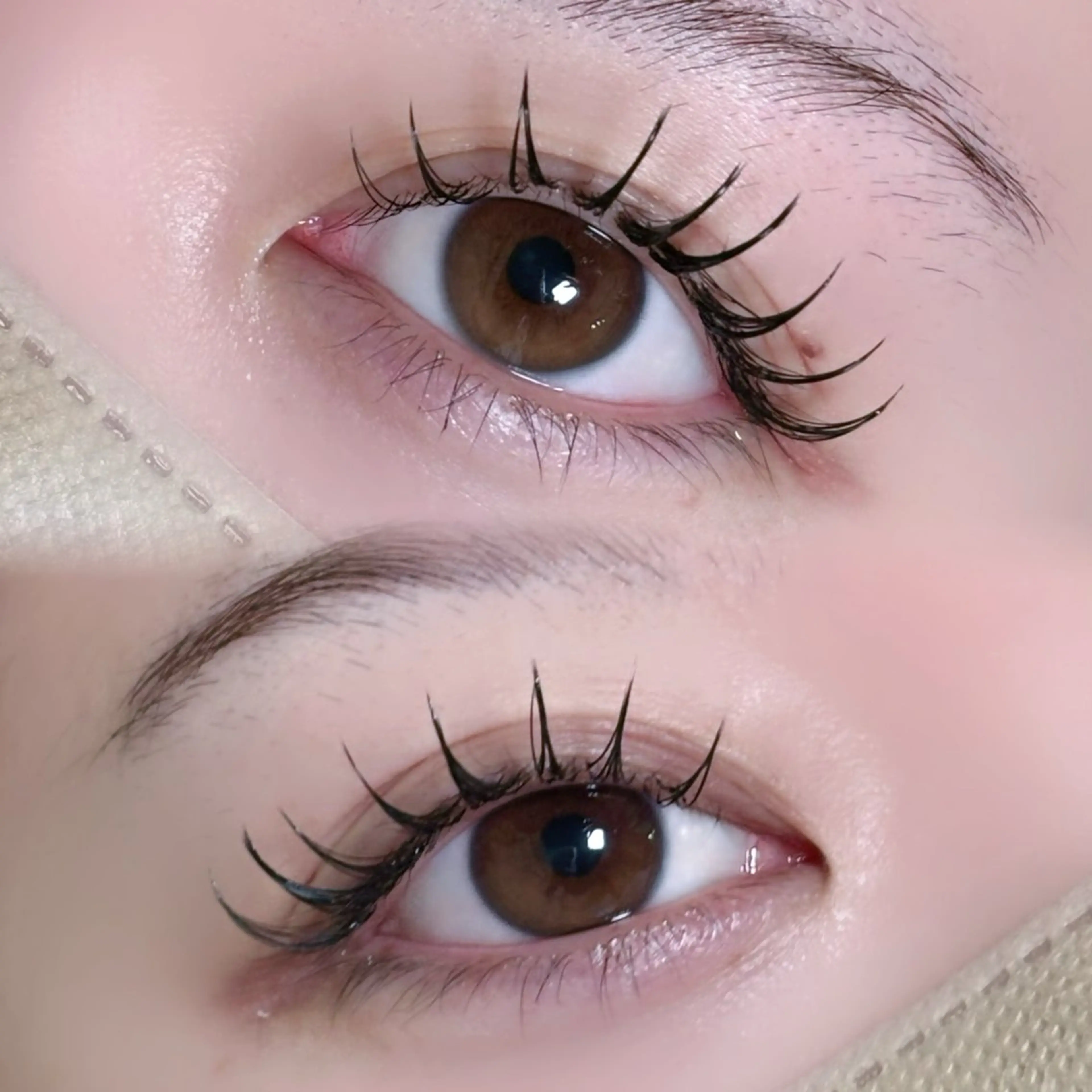 期間限定価格❕持ちを良くしたい方に💡❕LEDフラットマットラッシュ120本の写真