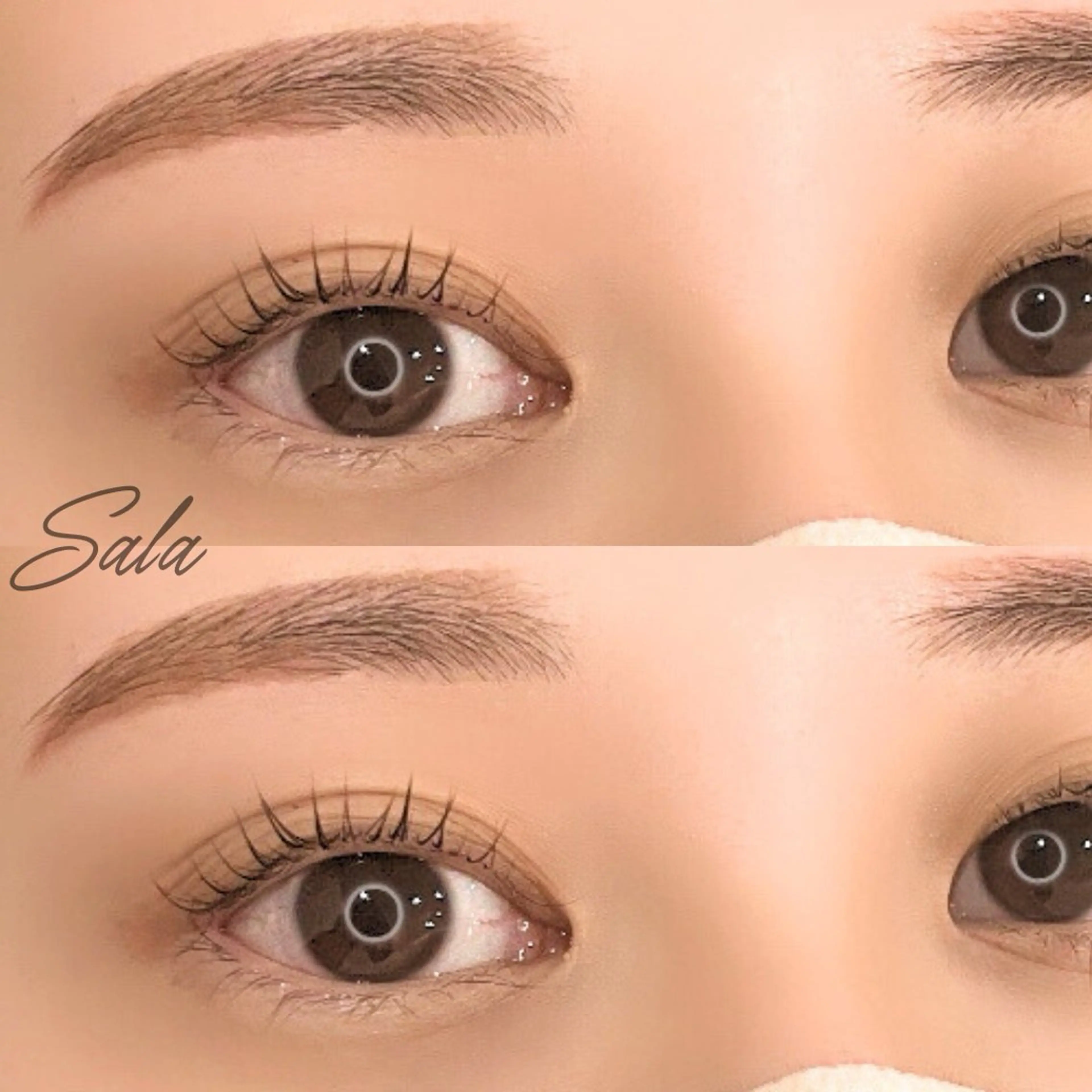 マツエク・マツパ まつげパーマ トータルビューティー サロンSalaのマツエク・マツパデザイン