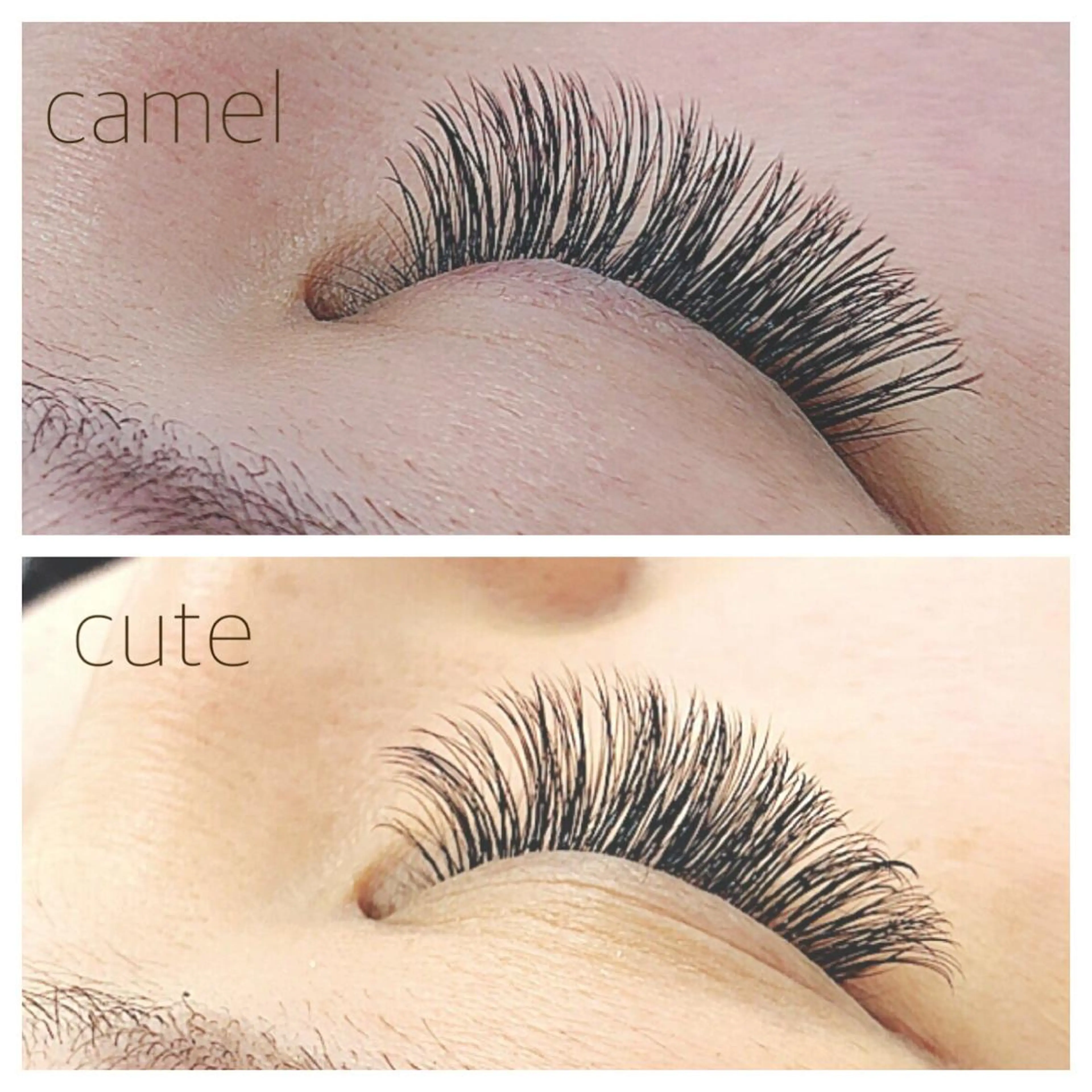 【マツエク】🌟ボリュームアップコース🌟160本(80束)までの写真