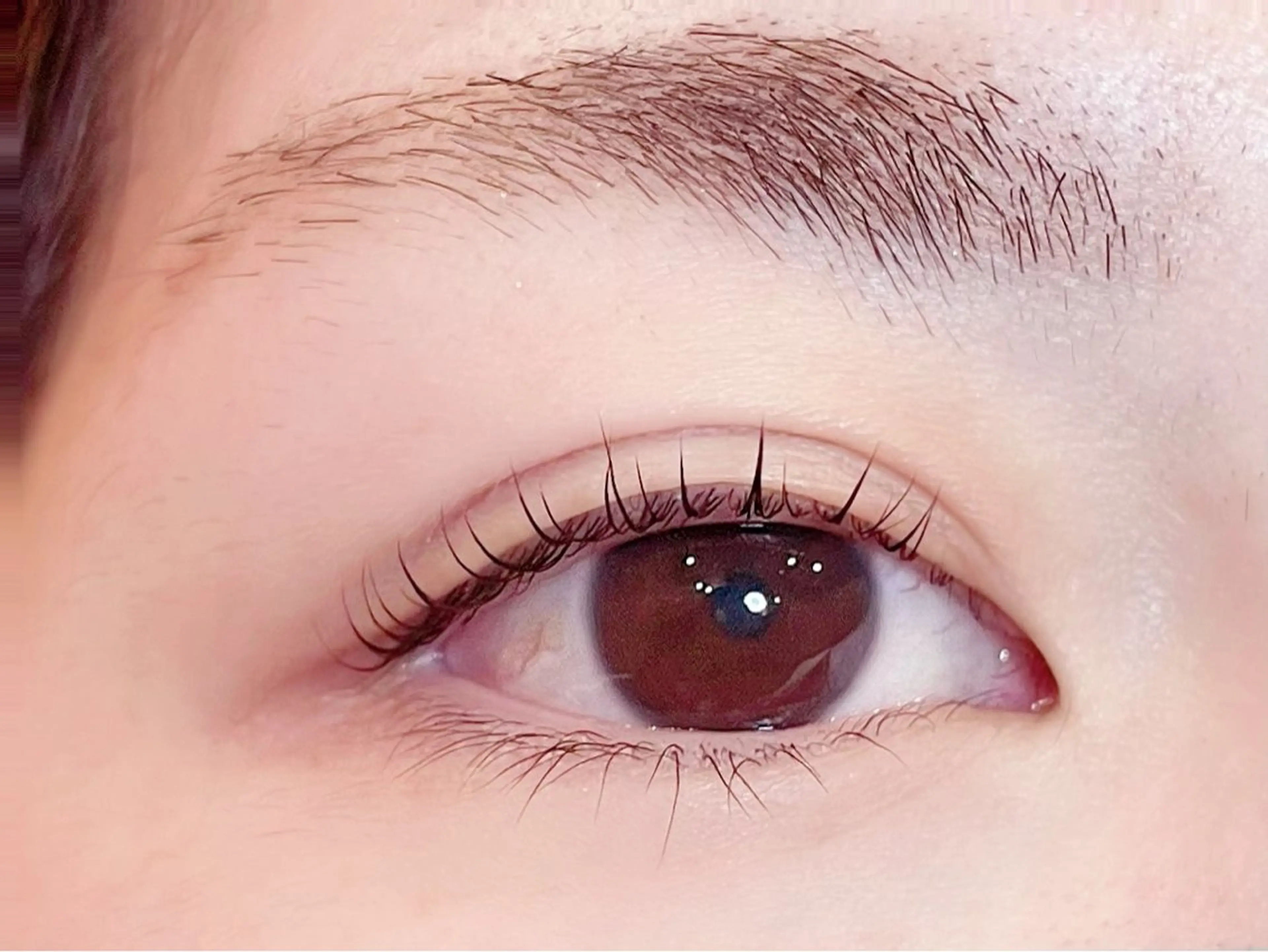 まつげパーマ(エクステオフなし)✨️コーティングトリートメント仕上げの写真