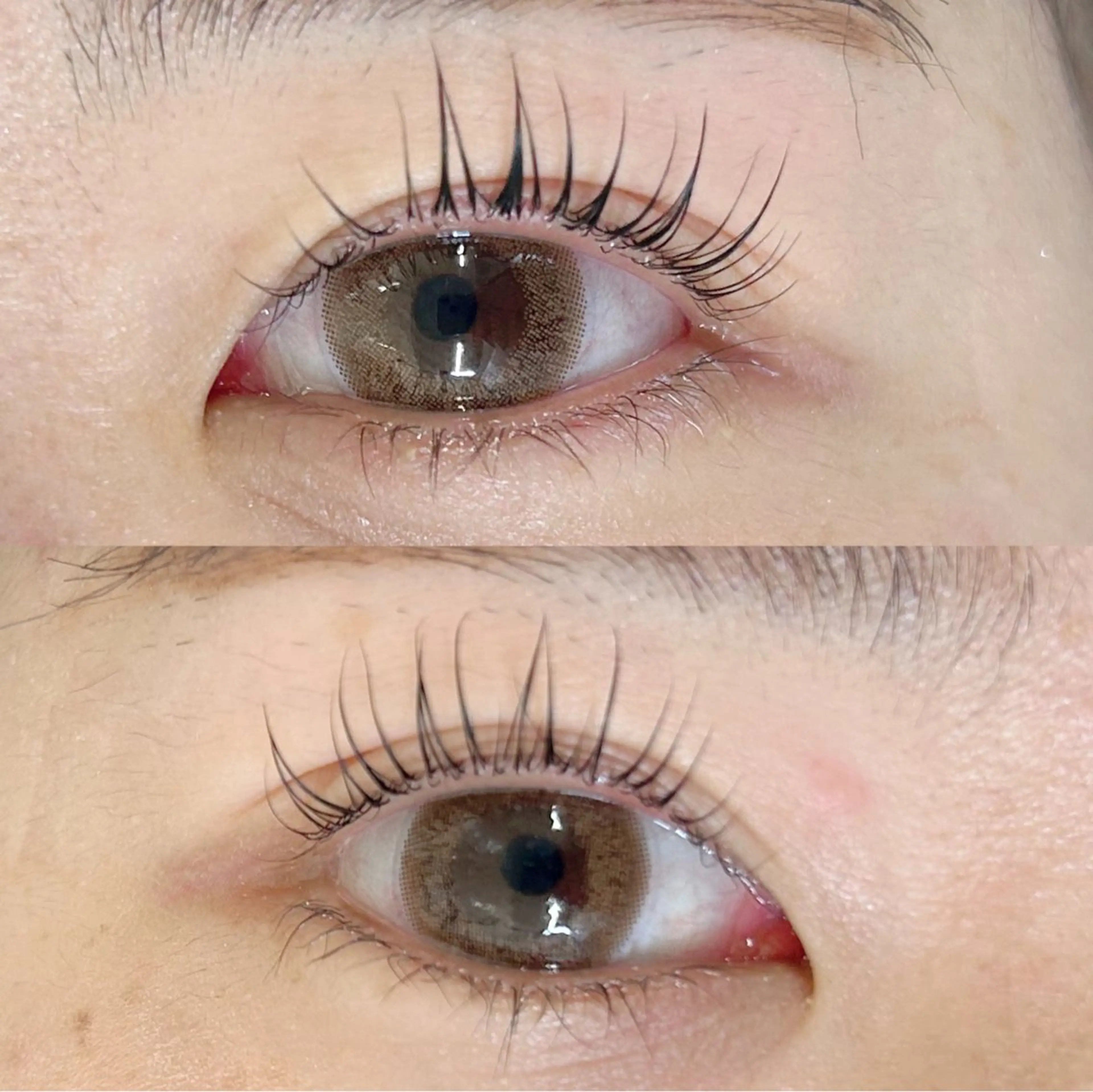 マツエク・マツパ まつげパーマ サクラブロウ京橋 増田のマツエク・マツパデザイン