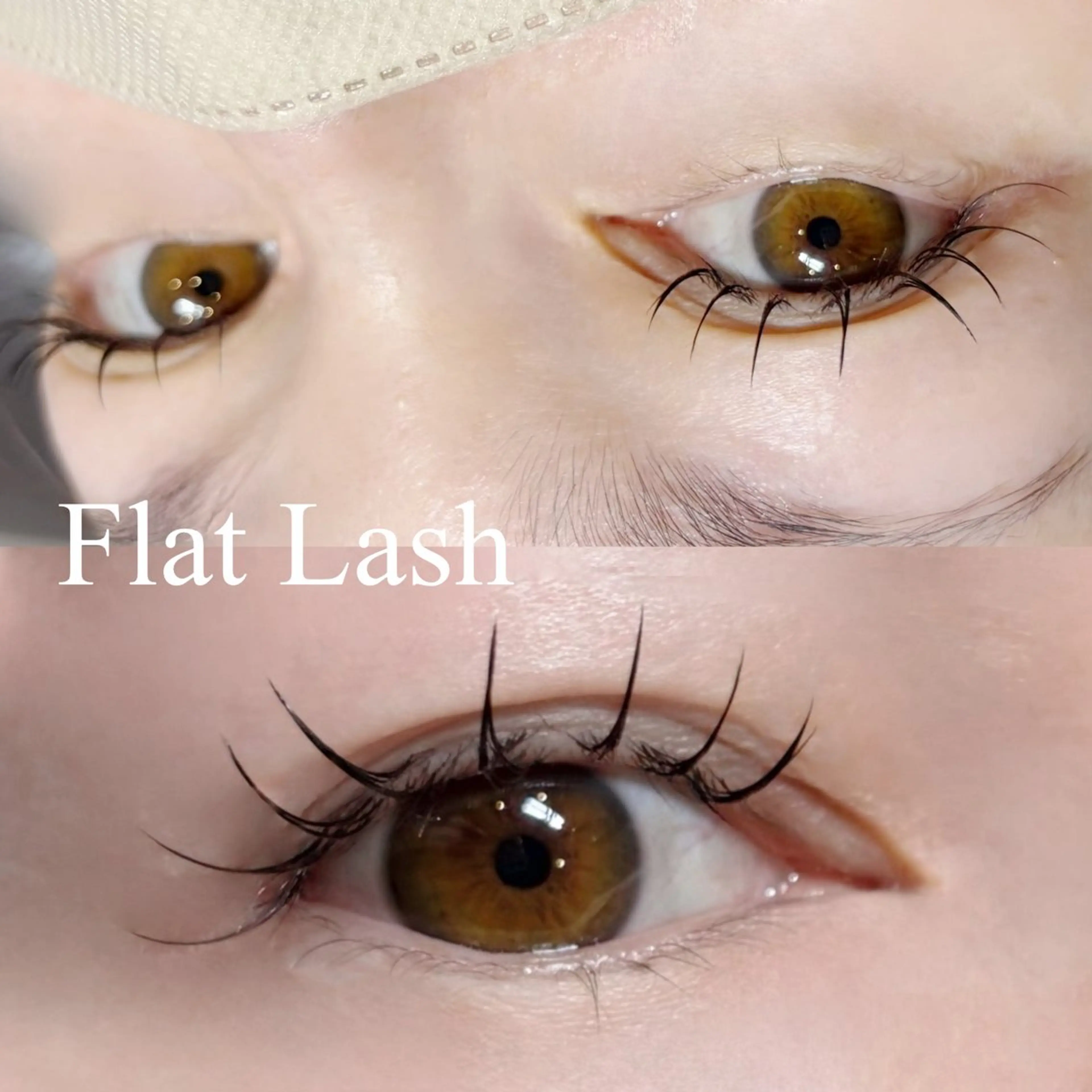 フラットラッシュ 100本 コーティング付きの写真