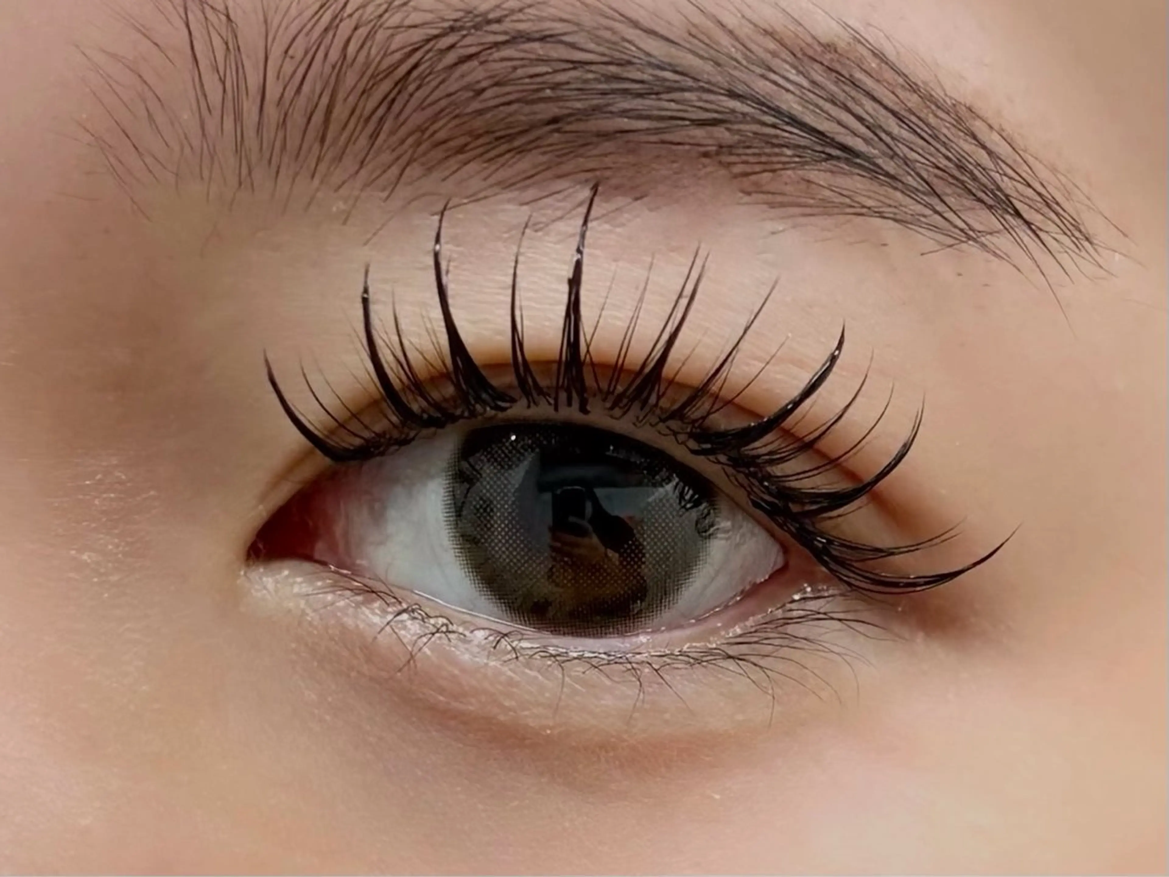 【モデル募集】韓国デザインエクステ⚠️必ず詳細をご覧下さいの写真