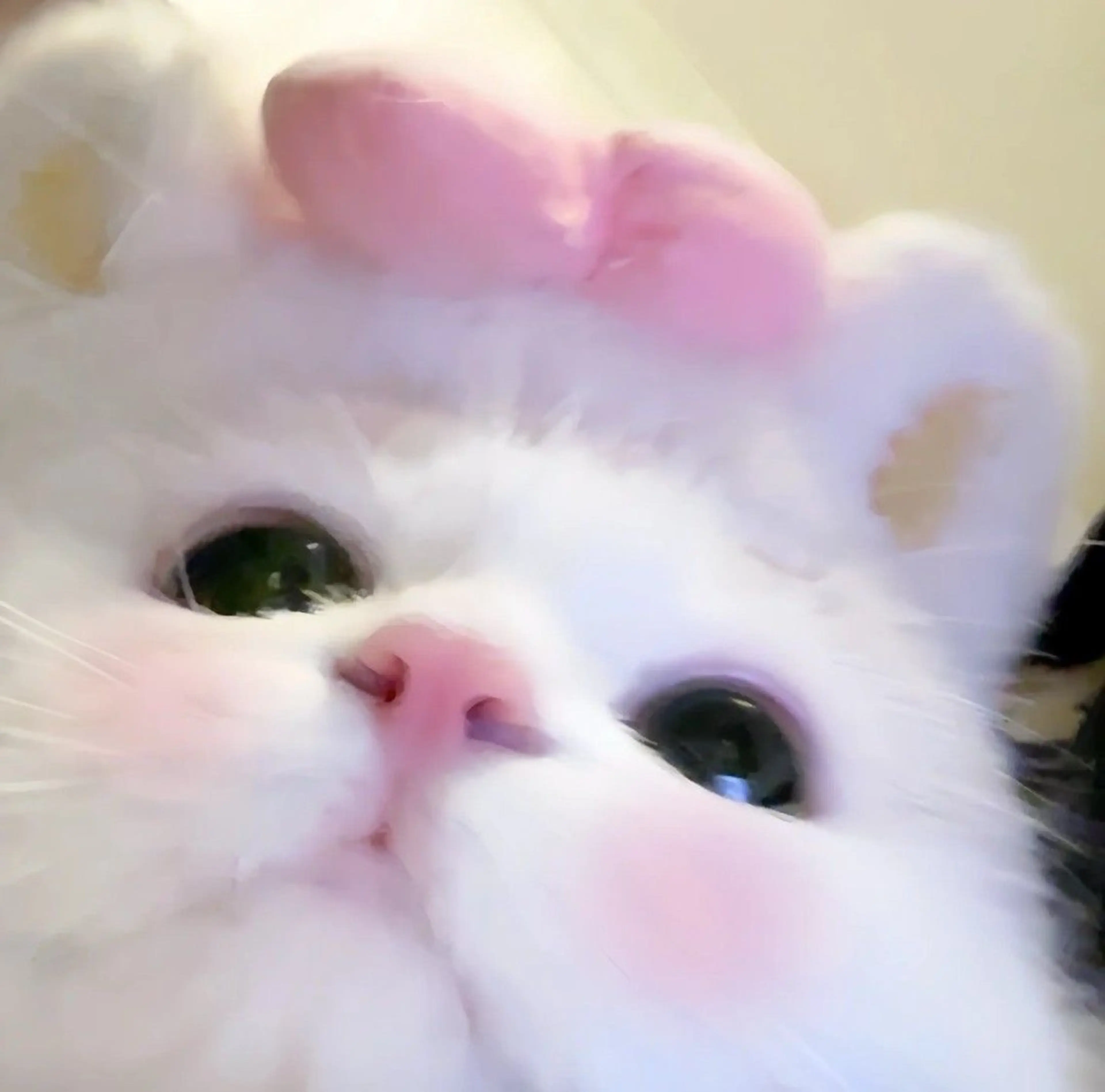 マツエク・マツパ マツパ 🎀eyelist. mizuki🐈‍⬛の眉毛・アイブロウイメージ