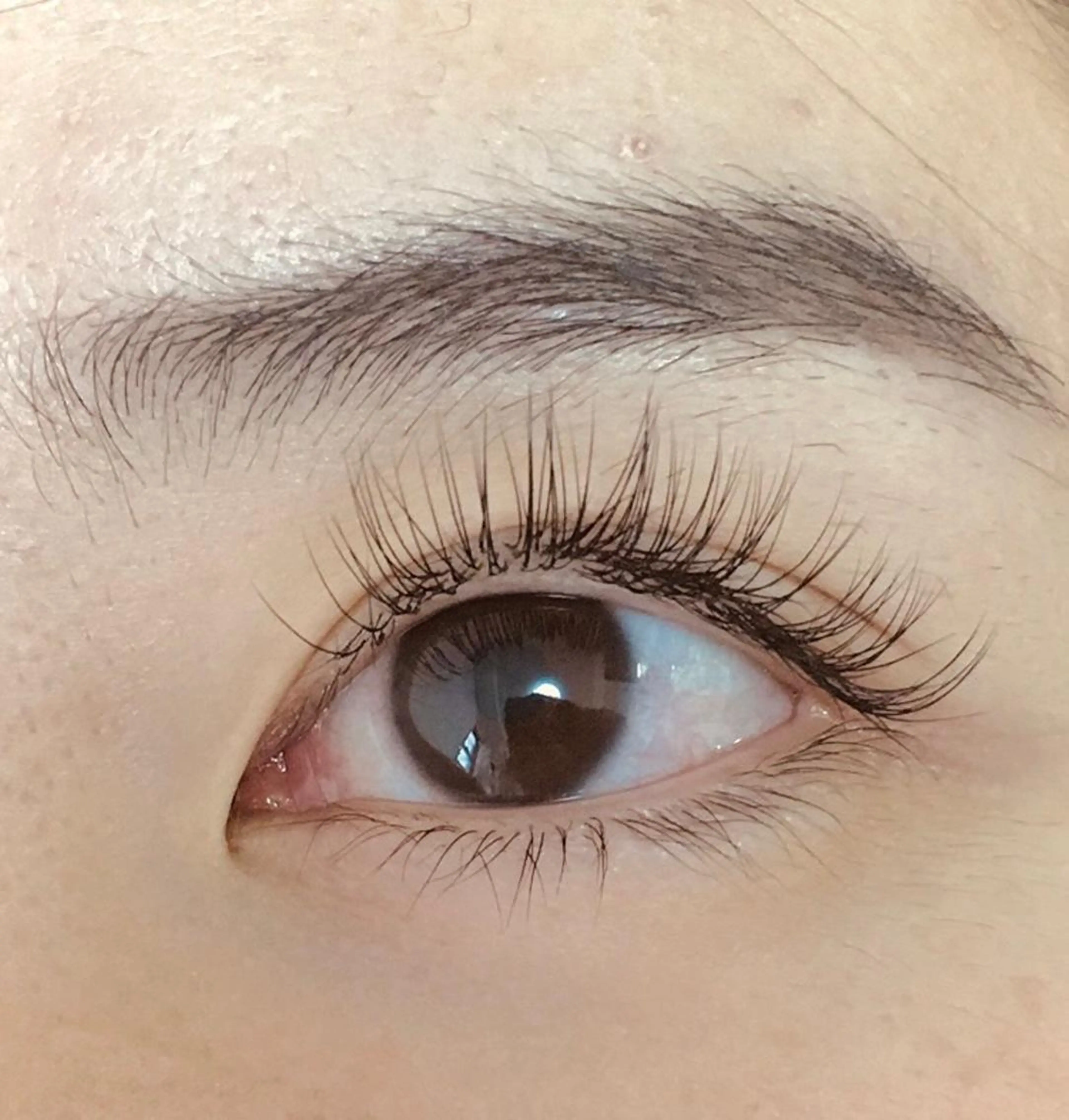 マツエク・マツパ フラットラッシュ ナチュラル まつげパーマ 一重×まつ毛パーマ せいた さきのマツエク・マツパデザイン