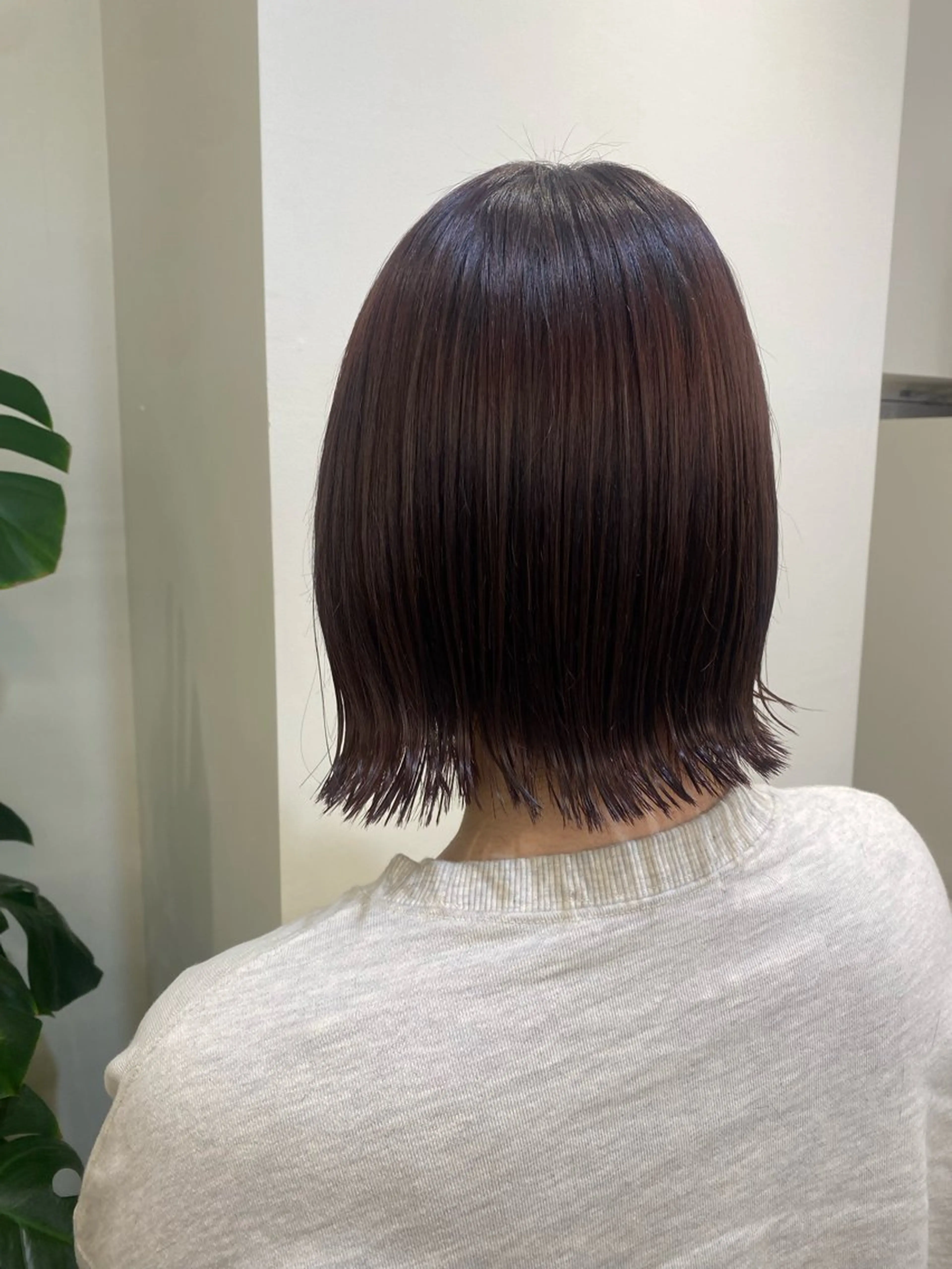 ショート カラー マツモト カラー/ショートボブのヘアスタイル