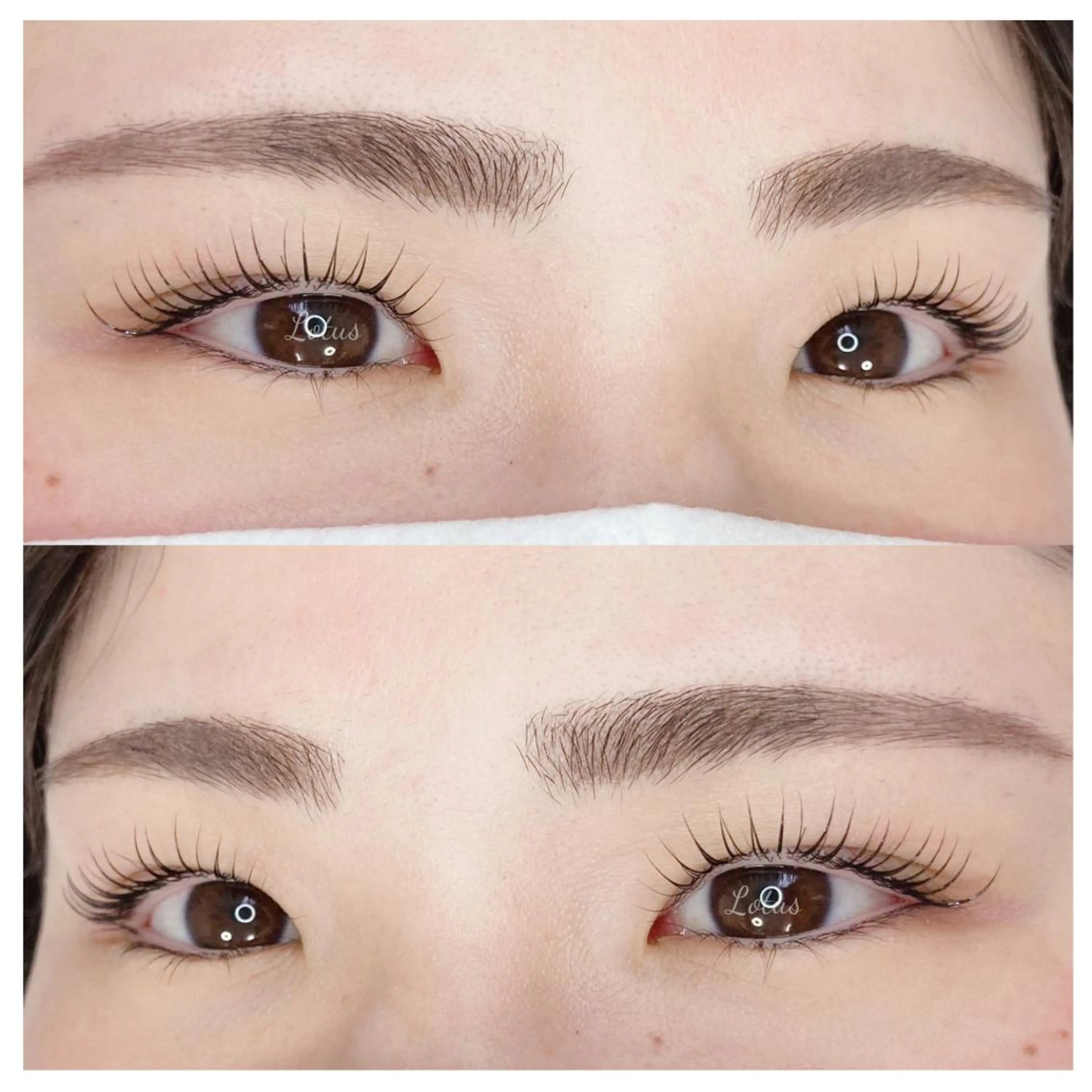 マツエク・マツパ マツパ Lotus ロータスのマツエク・マツパデザイン