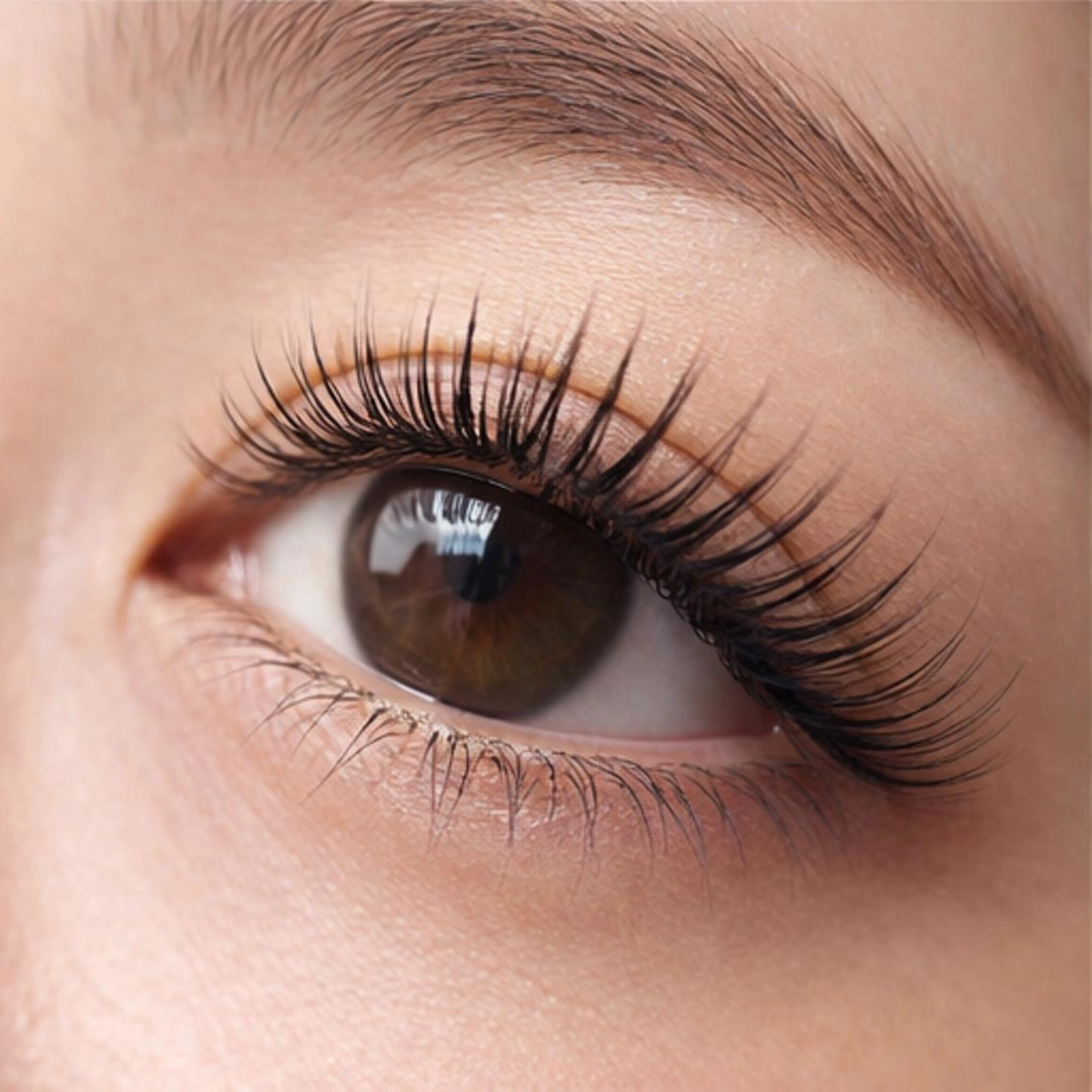 💙全員クーポン💙120本までつけ放題🎀オフ込の写真