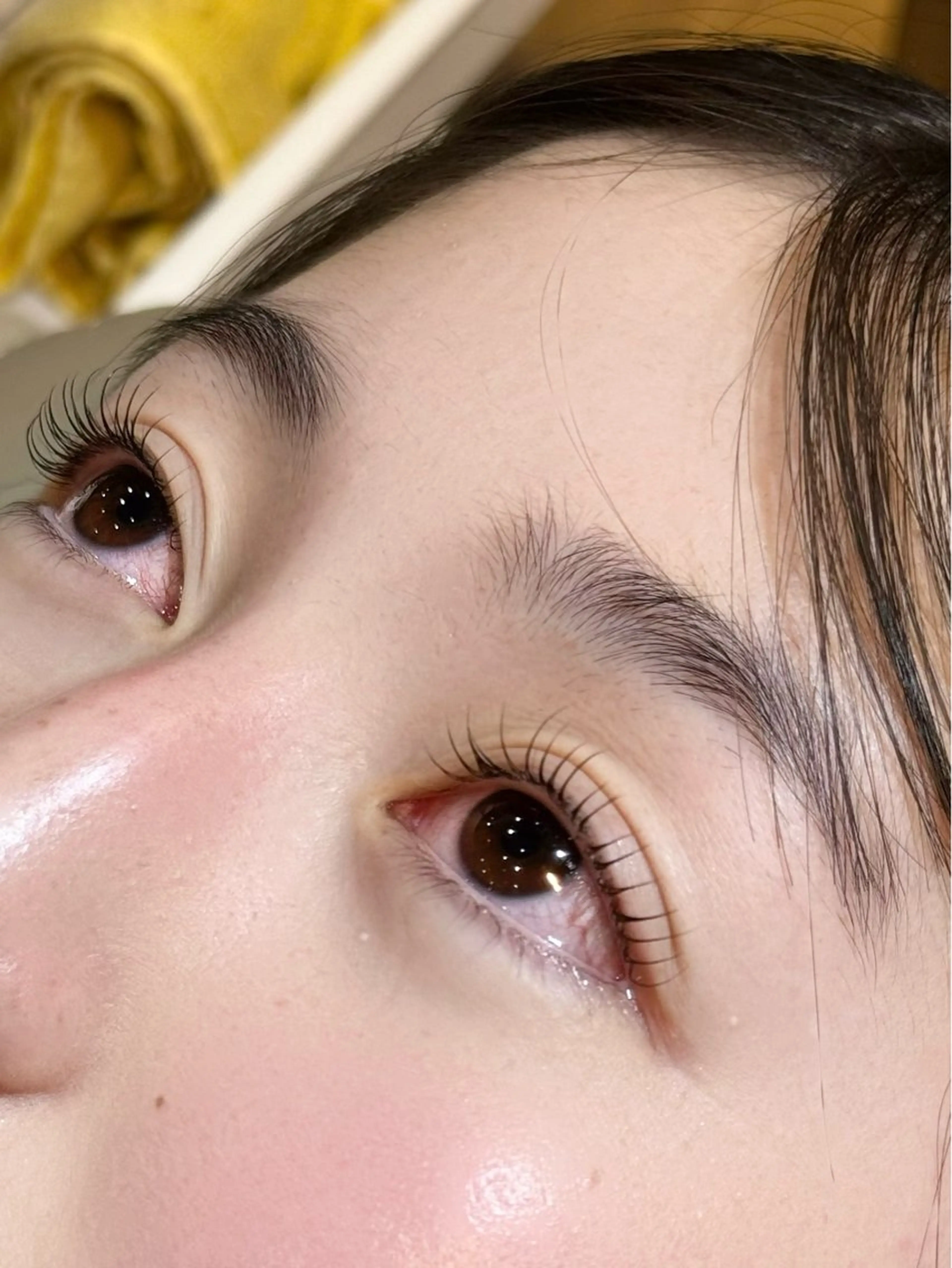 🌸4月メニュー🌸【練習モデル】🎀上マツゲパーマ🎀の写真