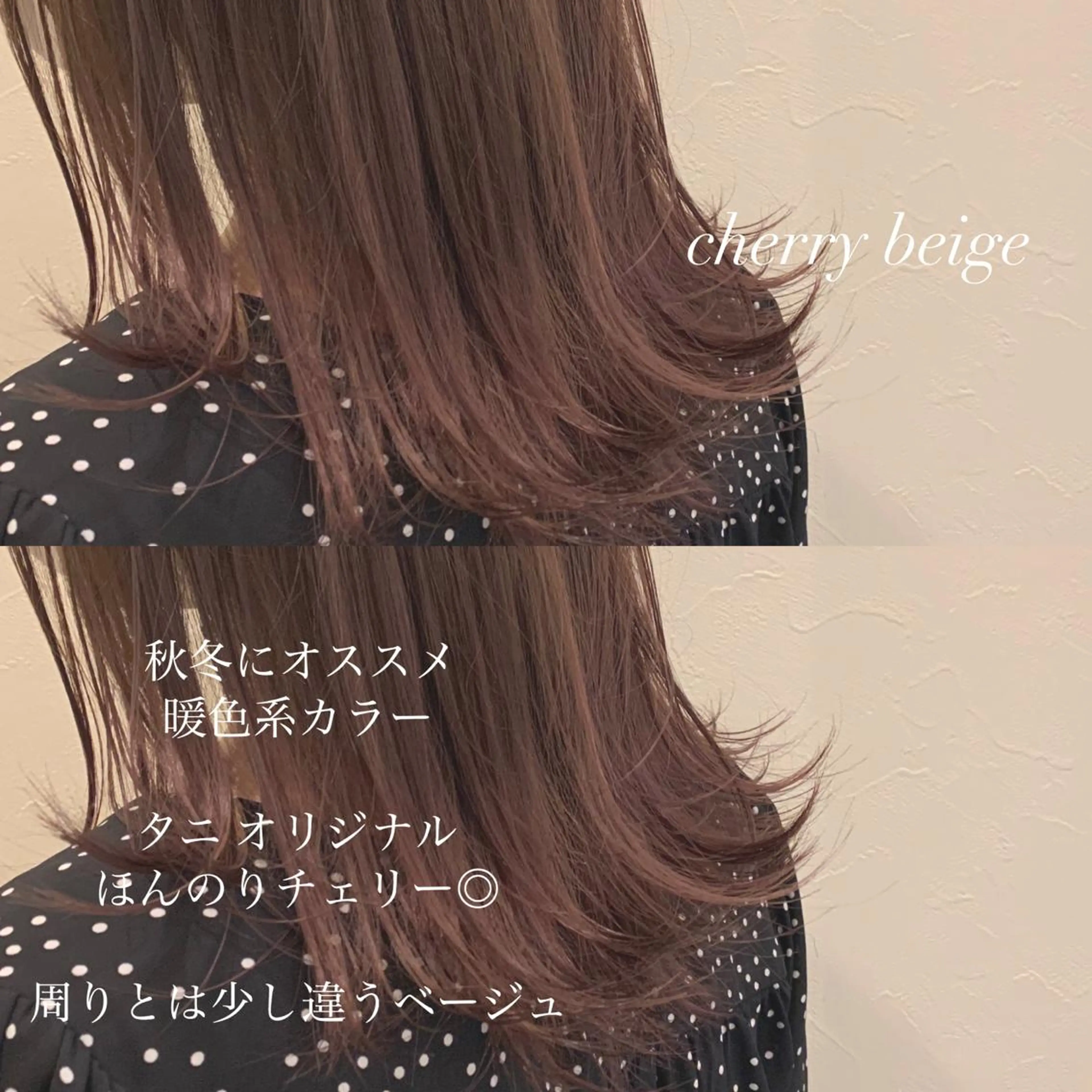 ミディアム カラー カット ヘアカラー トリートメント ヘアセット レイヤー/艶髪 🇰🇷Ryotaのヘアスタイル