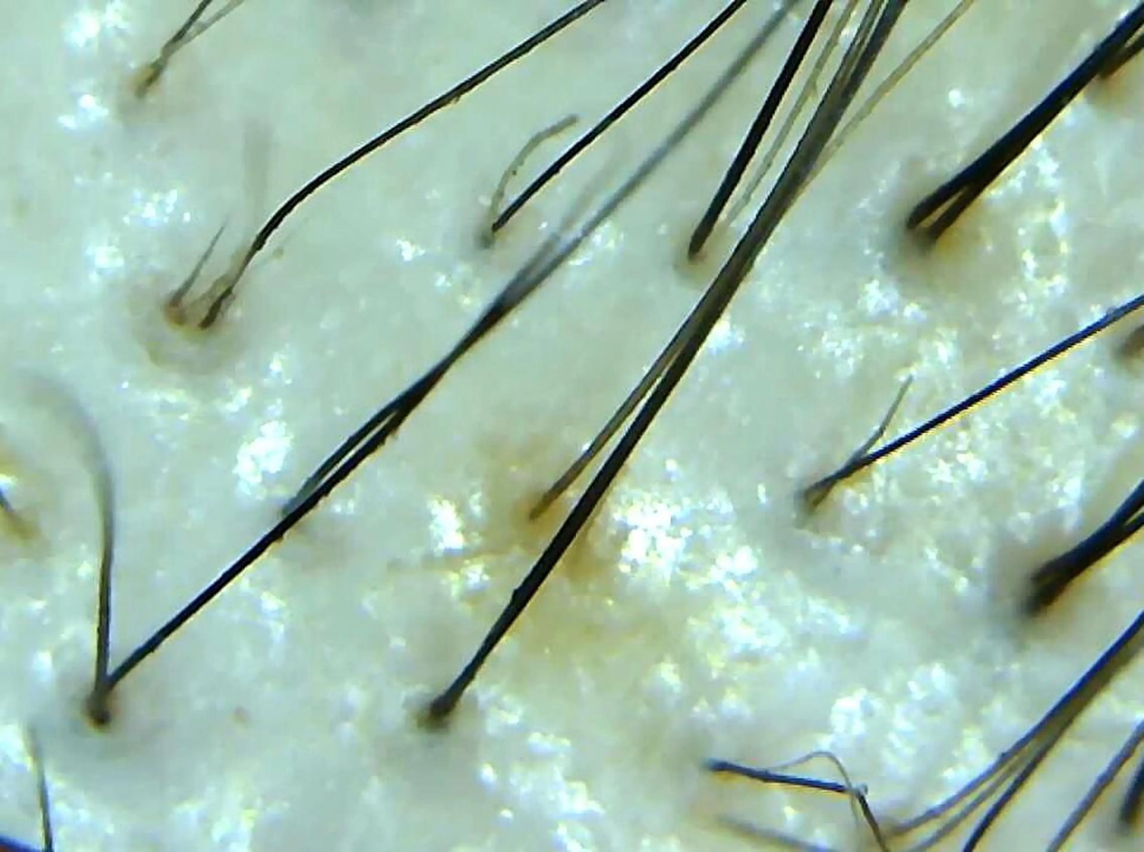 その他 セントラル鍼灸院 Re:laxyのヘアスタイル